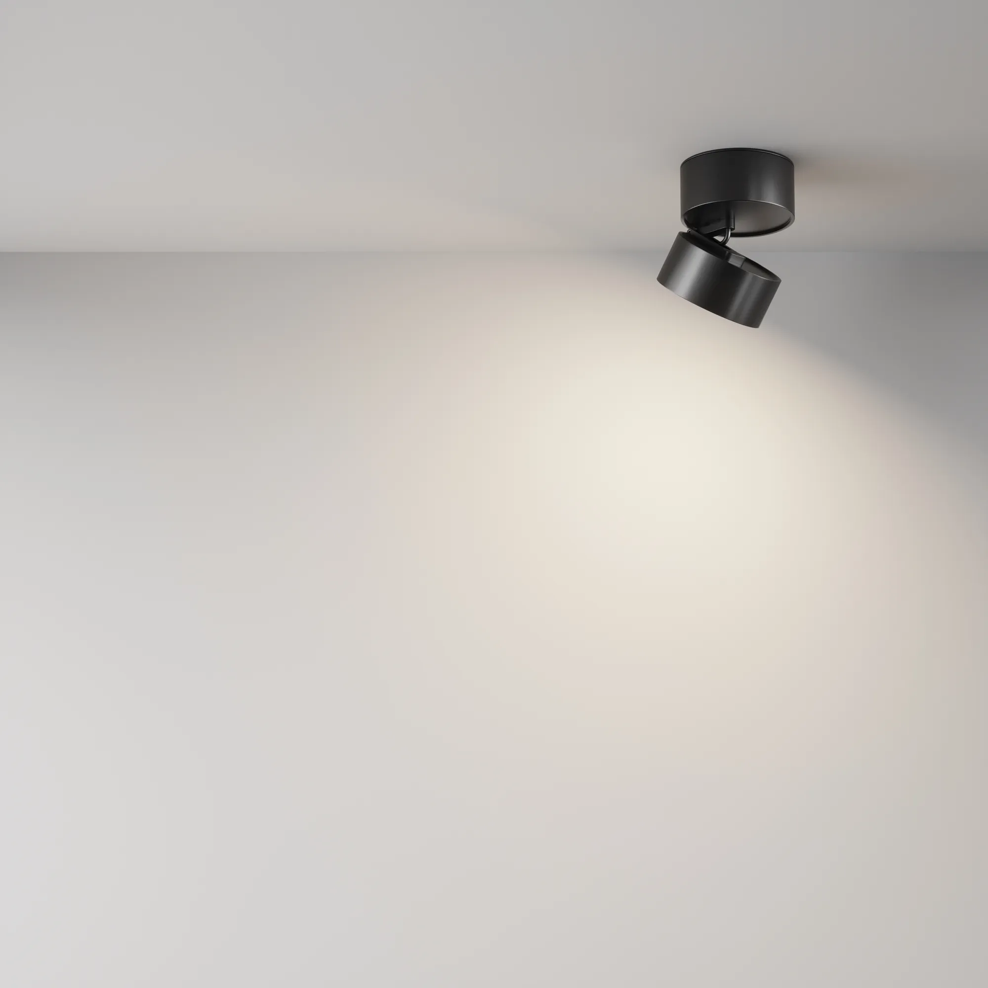 картинка Потолочный светильник Technical C024CL-12W4K-B-1