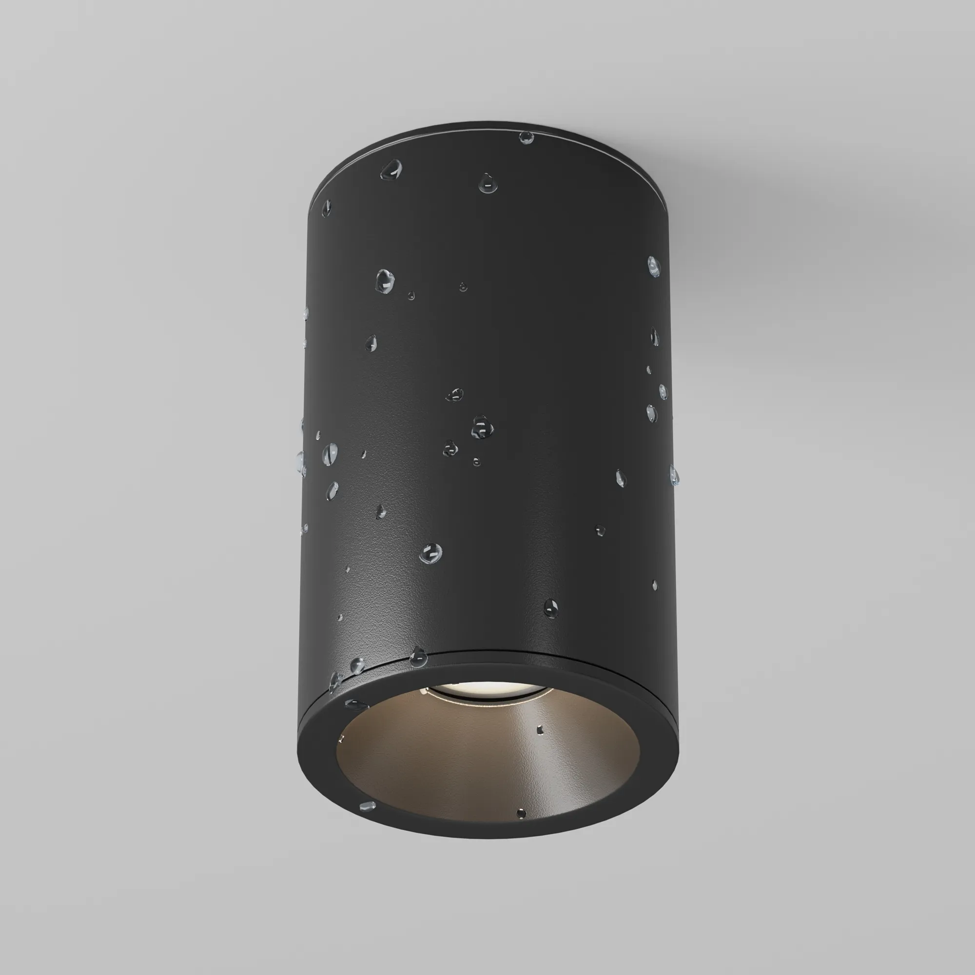 картинка Потолочный светильник Technical C029CL-01-S-B