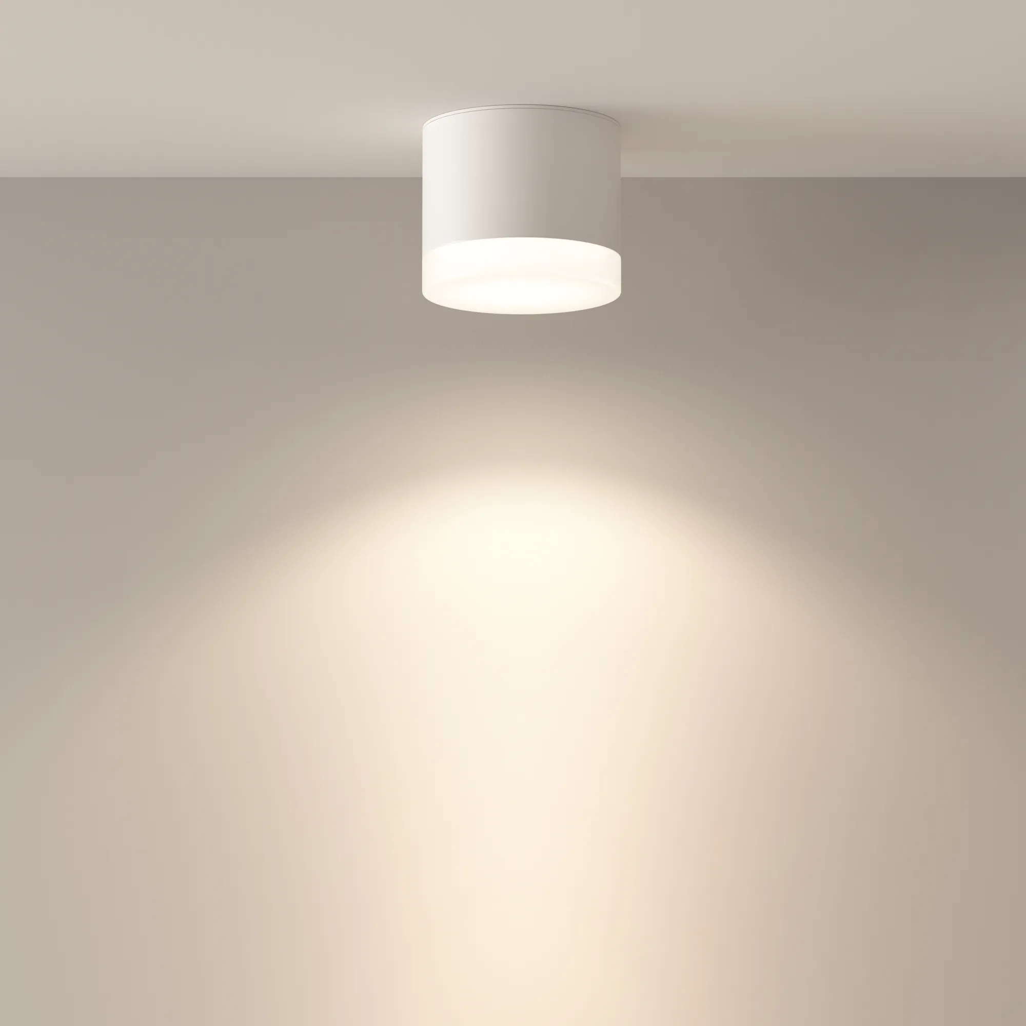 картинка Потолочный светильник Technical C087CL-GX53-W