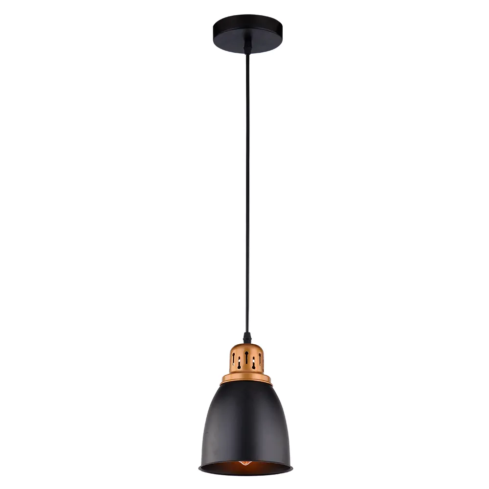картинка Подвесной светильник Arte Lamp EURICA A4248SP-1BK