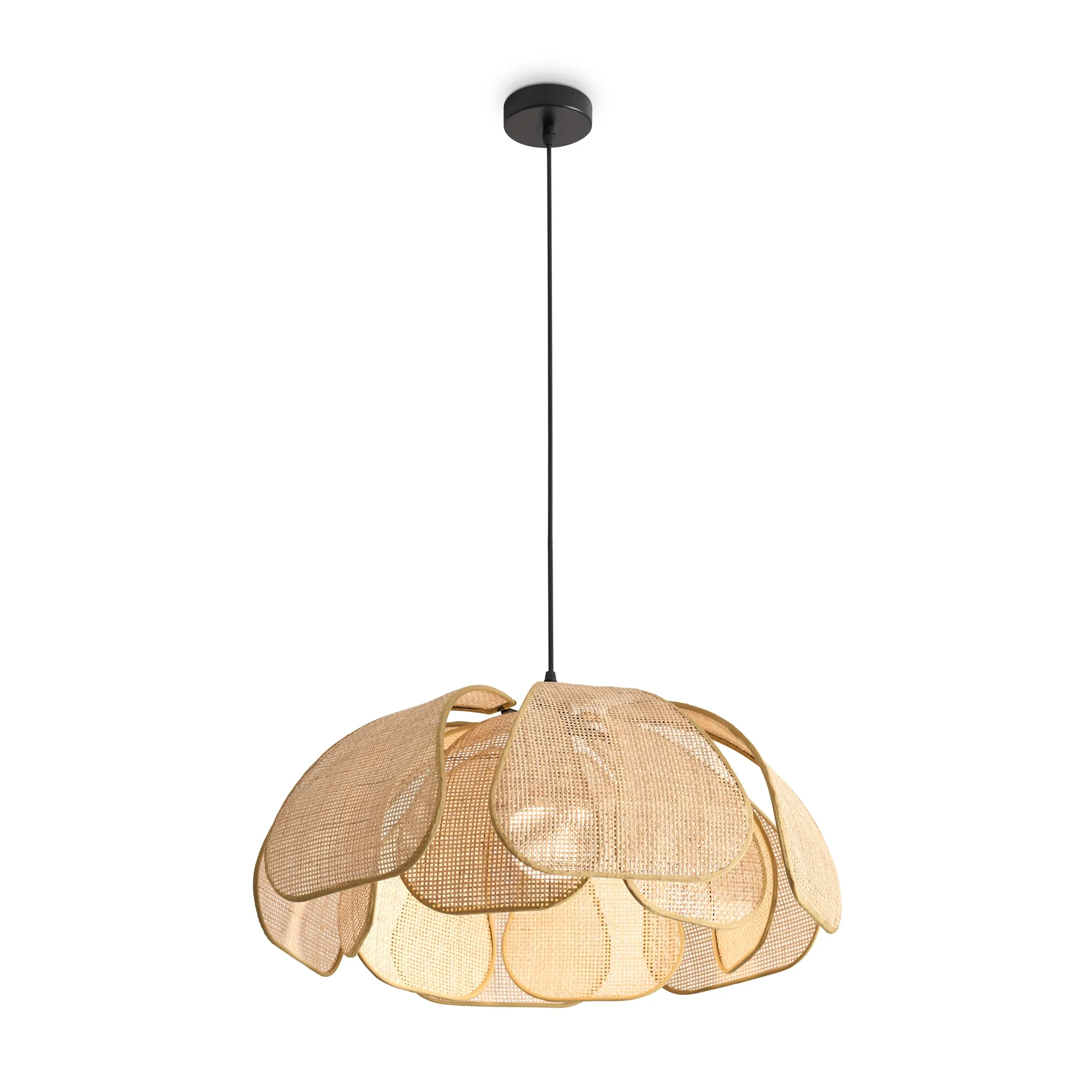 картинка Подвесной светильник Freya FR5529PL-01B