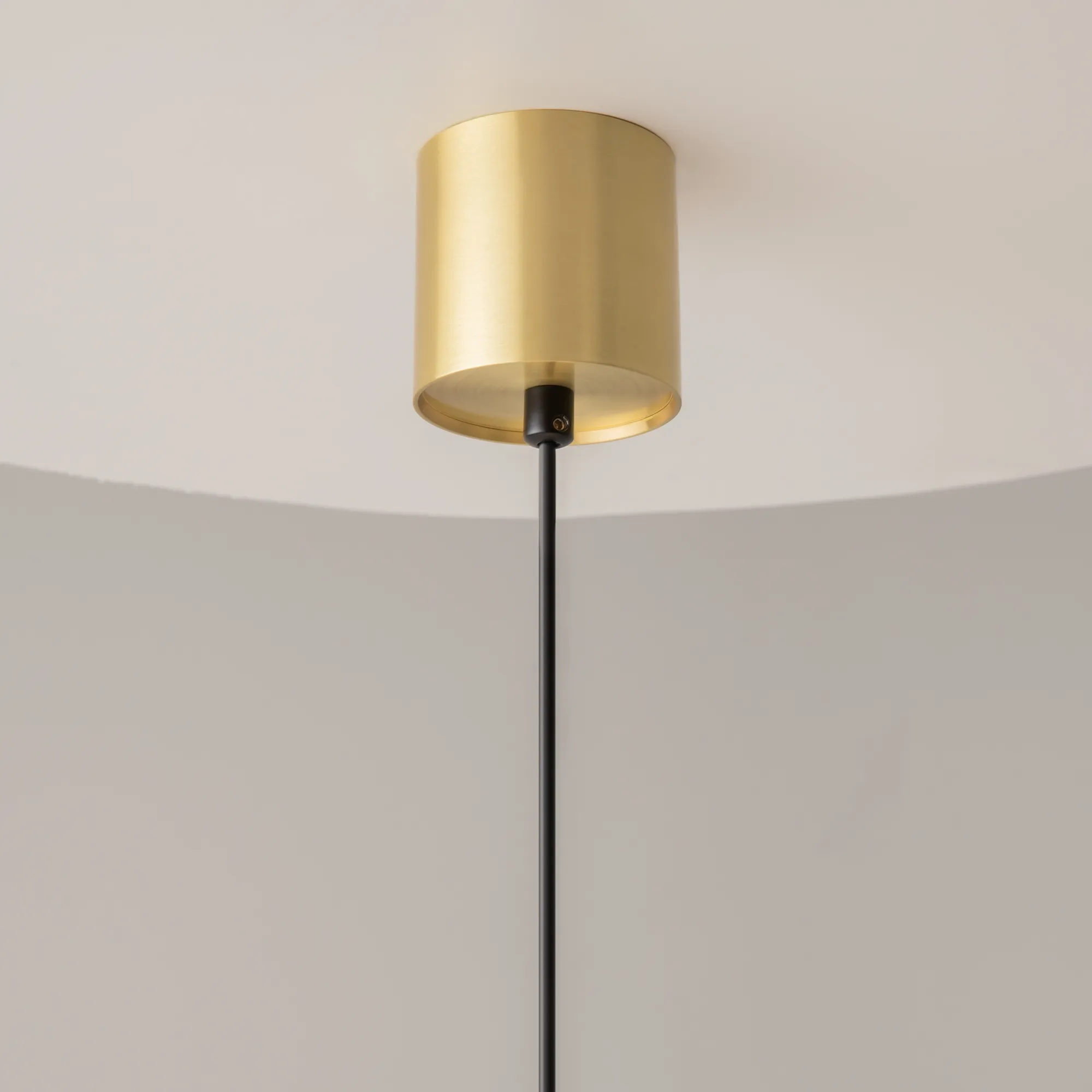 картинка Подвесной светильник Technical P100PL-20W3K-BS