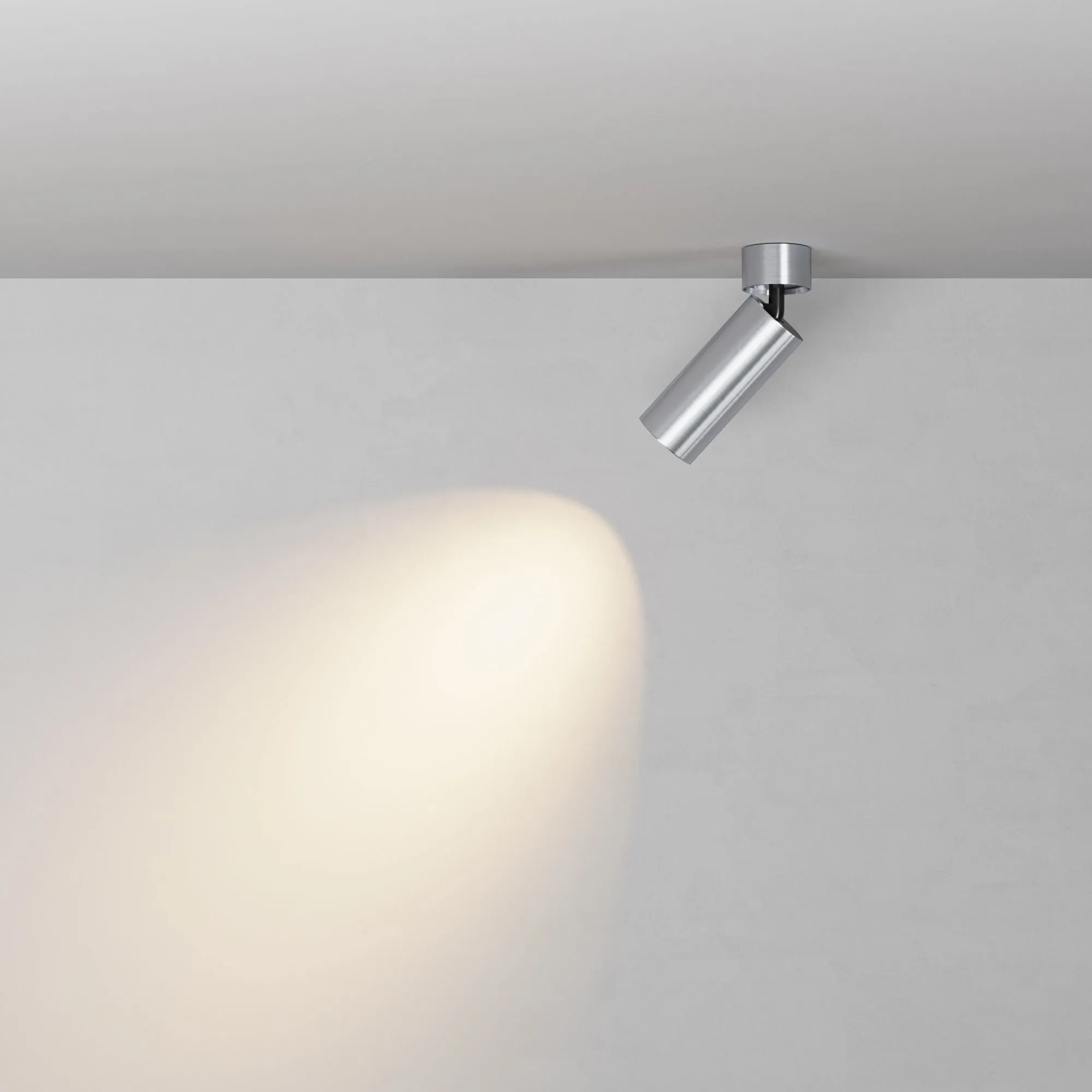 картинка Потолочный светильник Technical C055CL-L12W3K-W-PT