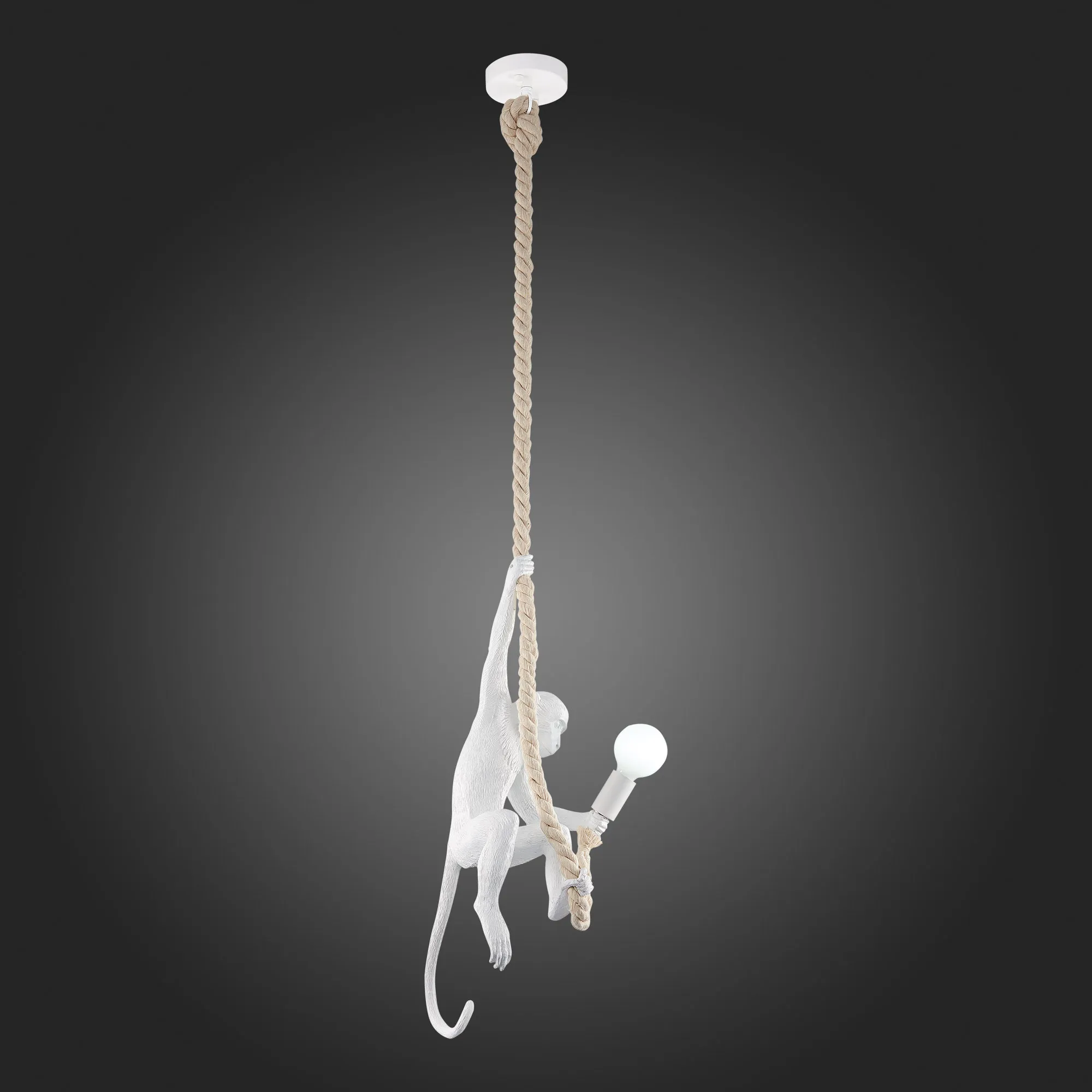 картинка SLE115103-01 Подвес Белый E27 1*60W