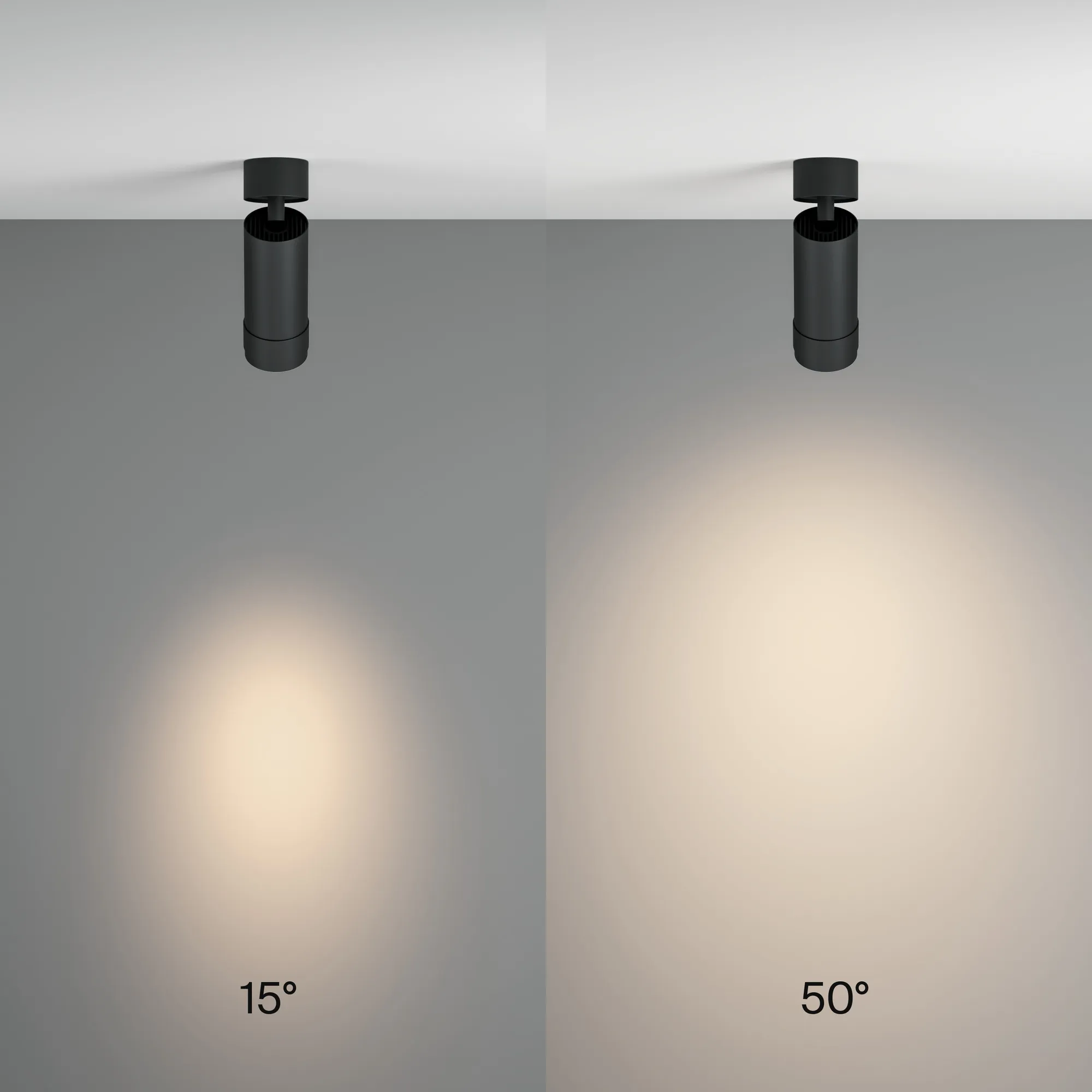картинка Потолочный светильник Technical C055CL-L12W4K-Z-B