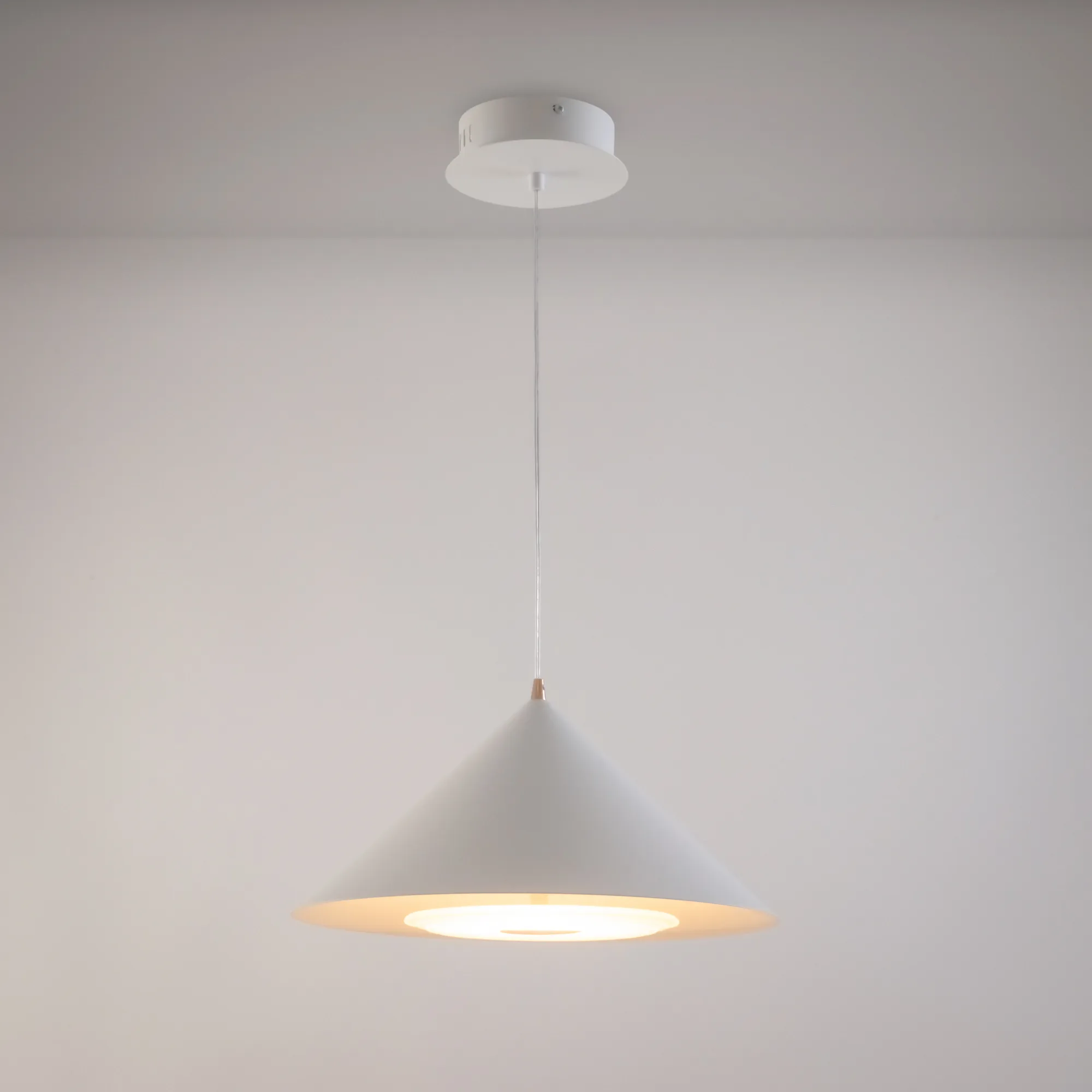 картинка Подвесной светильник Freya FR5397PL-L3W