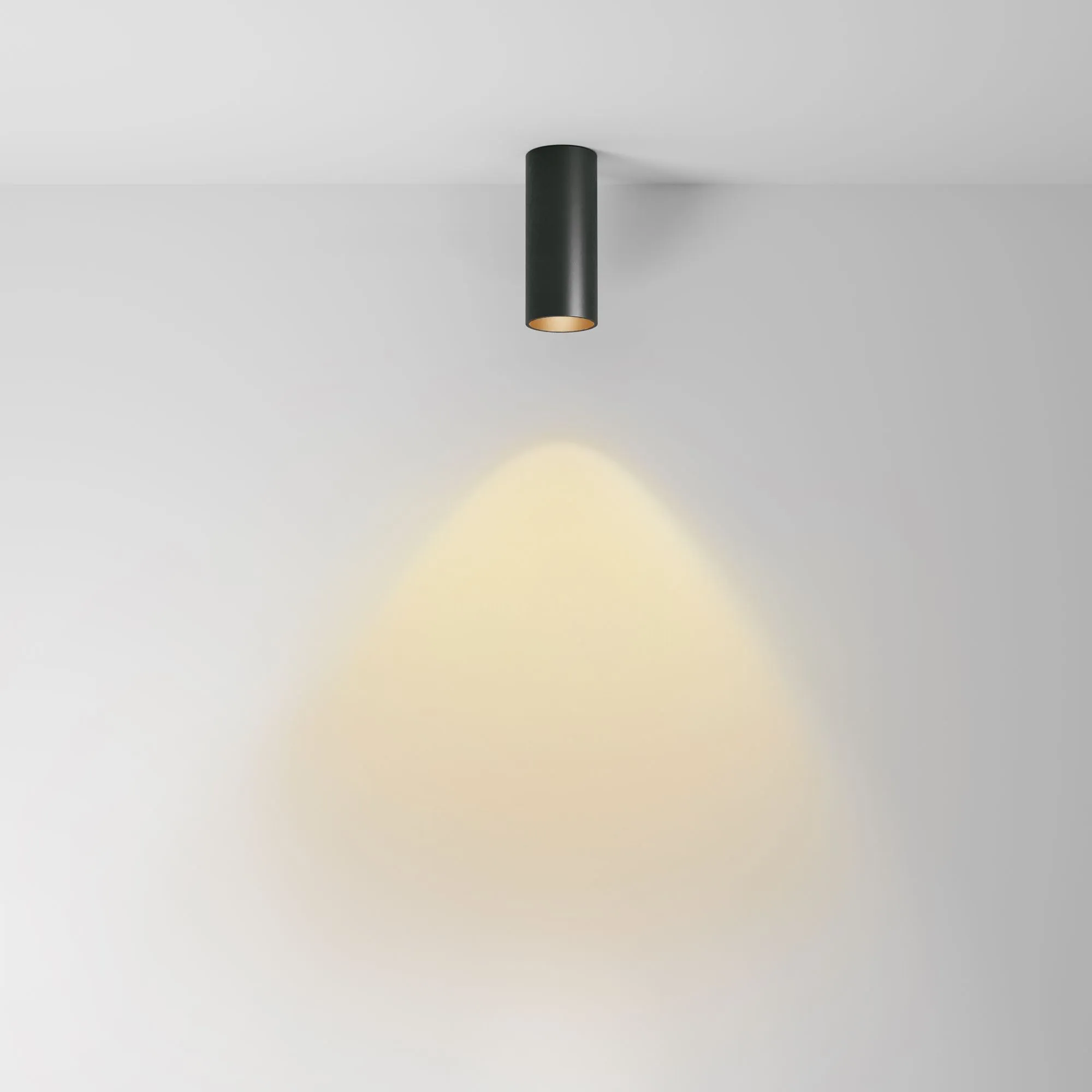 картинка Потолочный светильник Technical C056CL-L12B2.7K-W-B