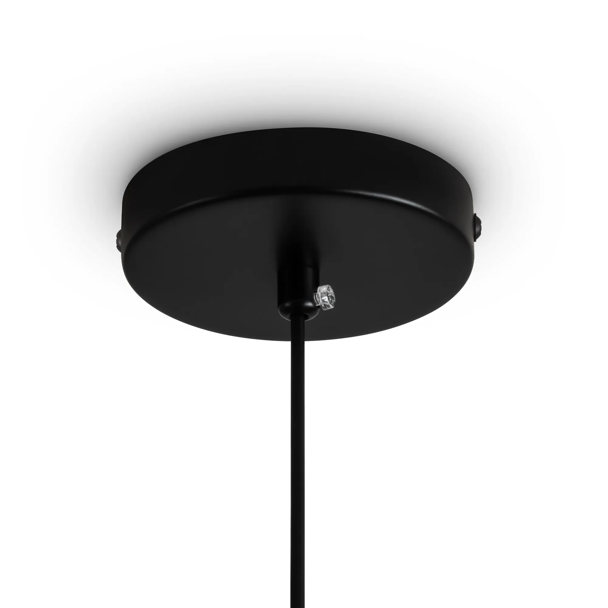 картинка Подвесной светильник Freya FR5598PL-02R