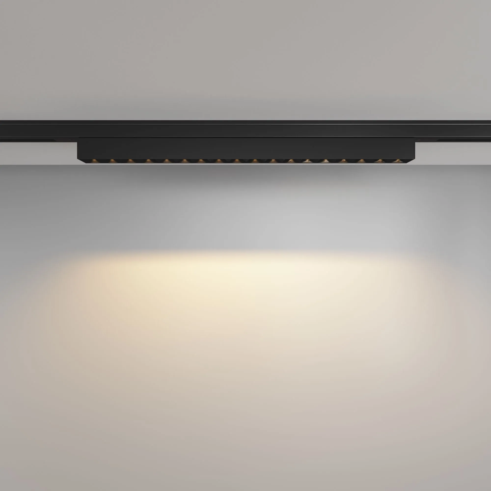 картинка Трековый светильник Technical TR193-1-15W2.7K-M-B