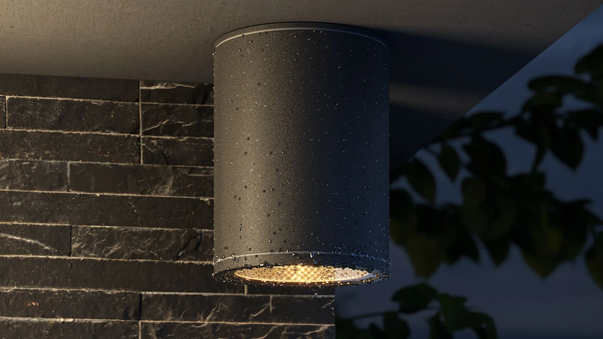 картинка Уличный потолочный светильник Outdoor O306CL-L7GF