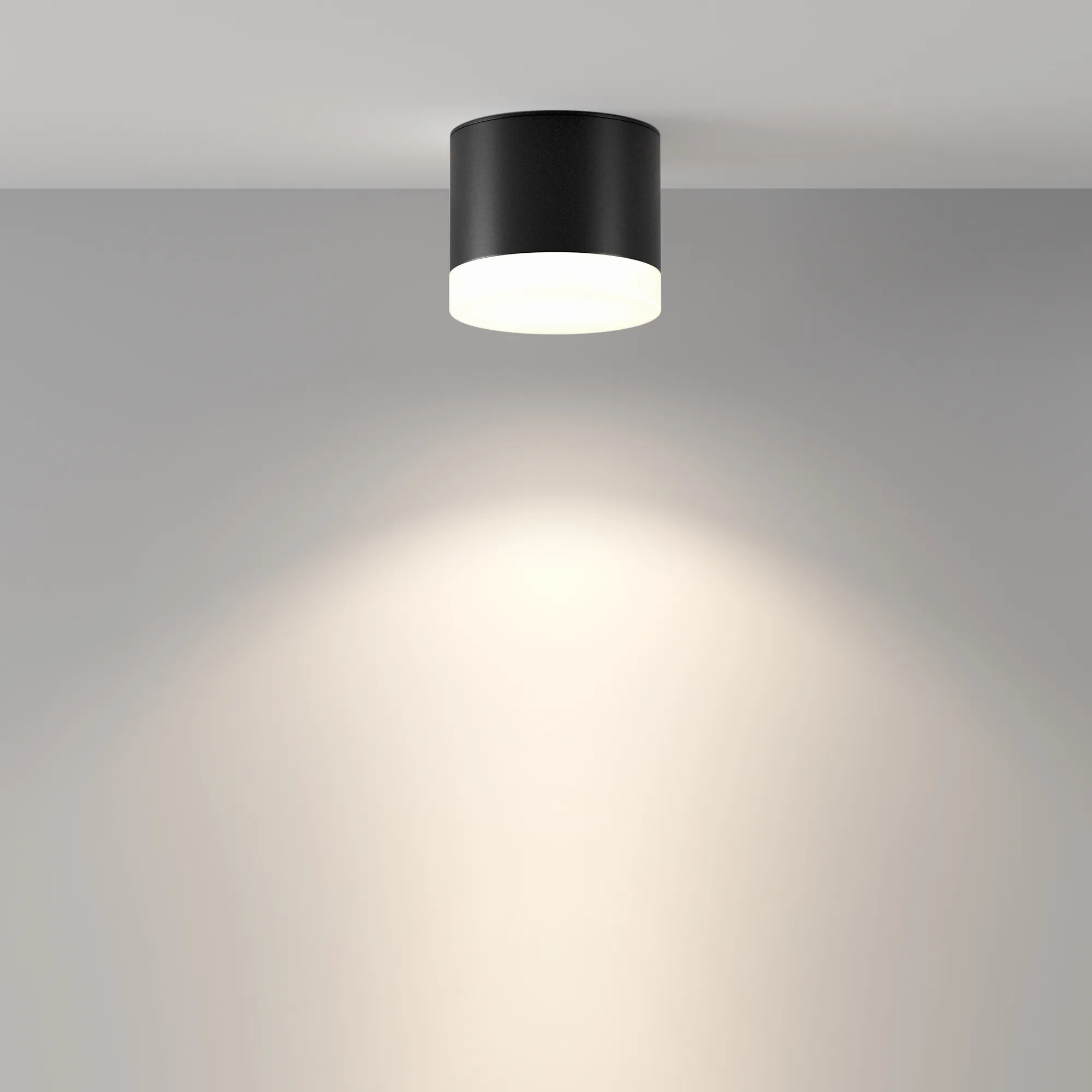 картинка Потолочный светильник Technical C087CL-GX53-B