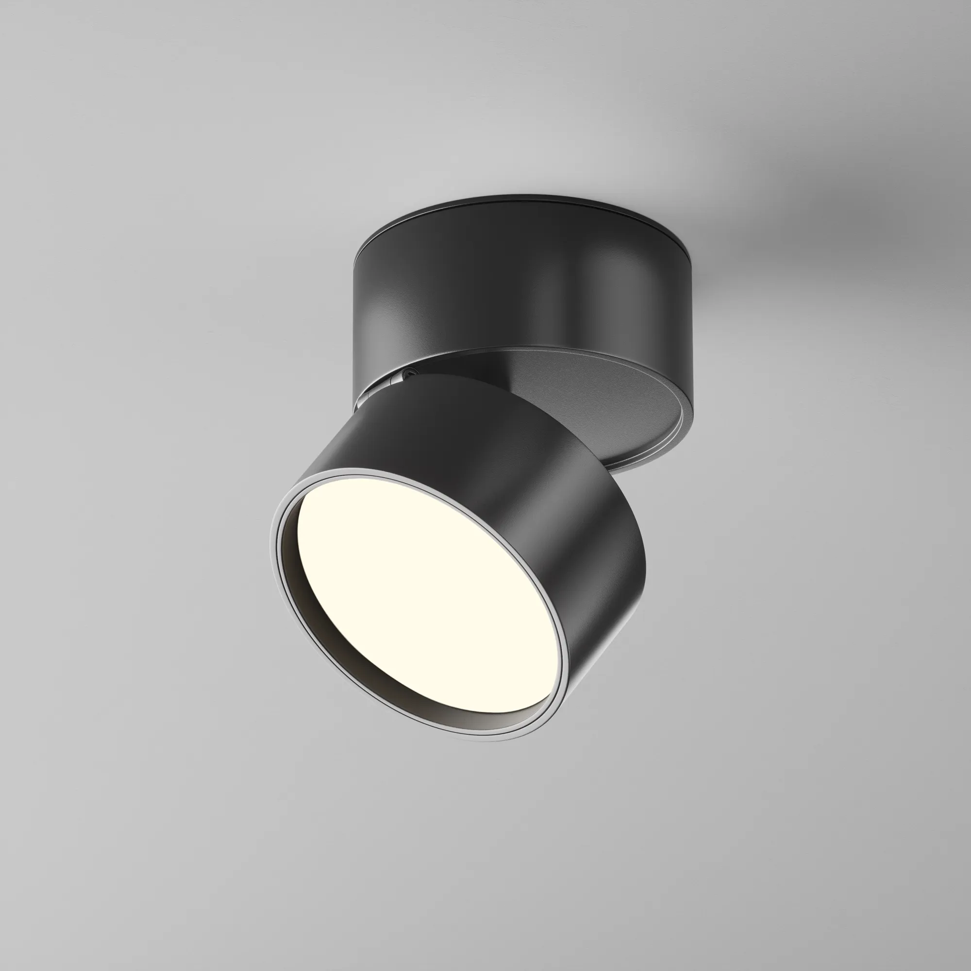 картинка Потолочный светильник Technical C024CL-12W4K-B-1