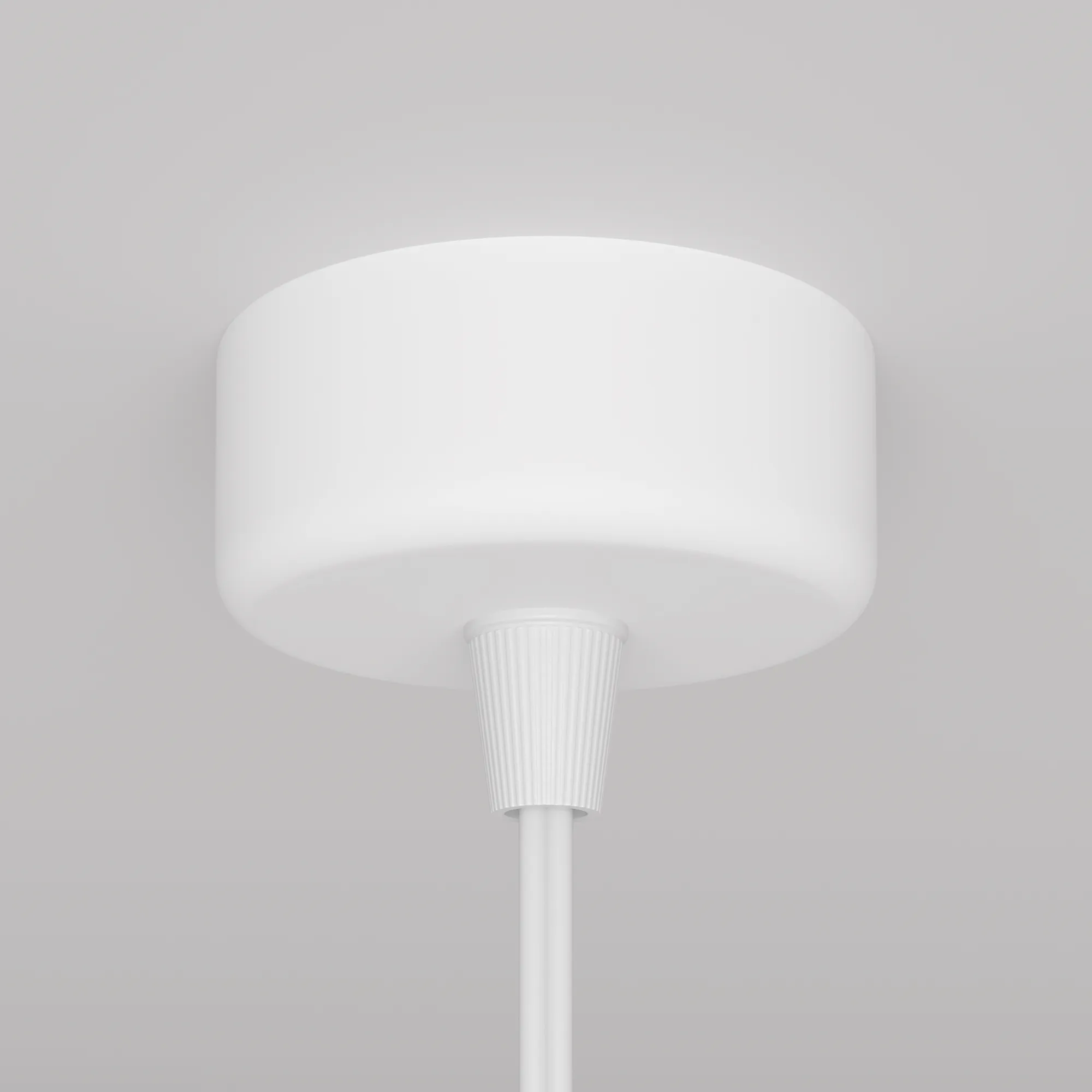 картинка Подвесной светильник Technical P038PL-01W