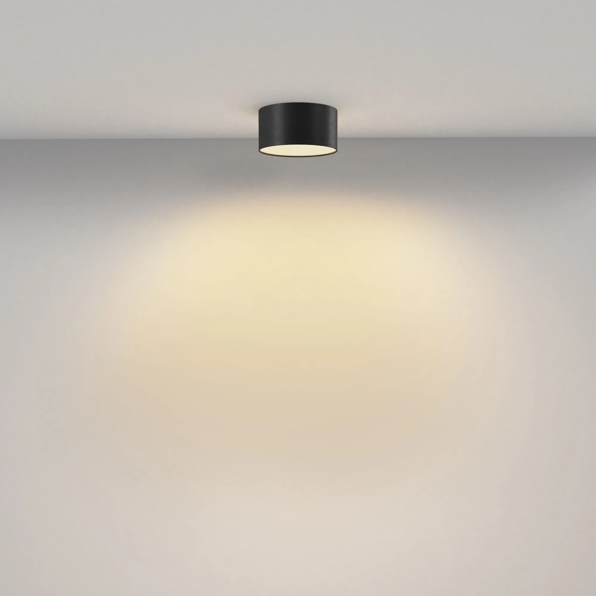 картинка Потолочный светильник Technical C032CL-12W2.7K-RD-B