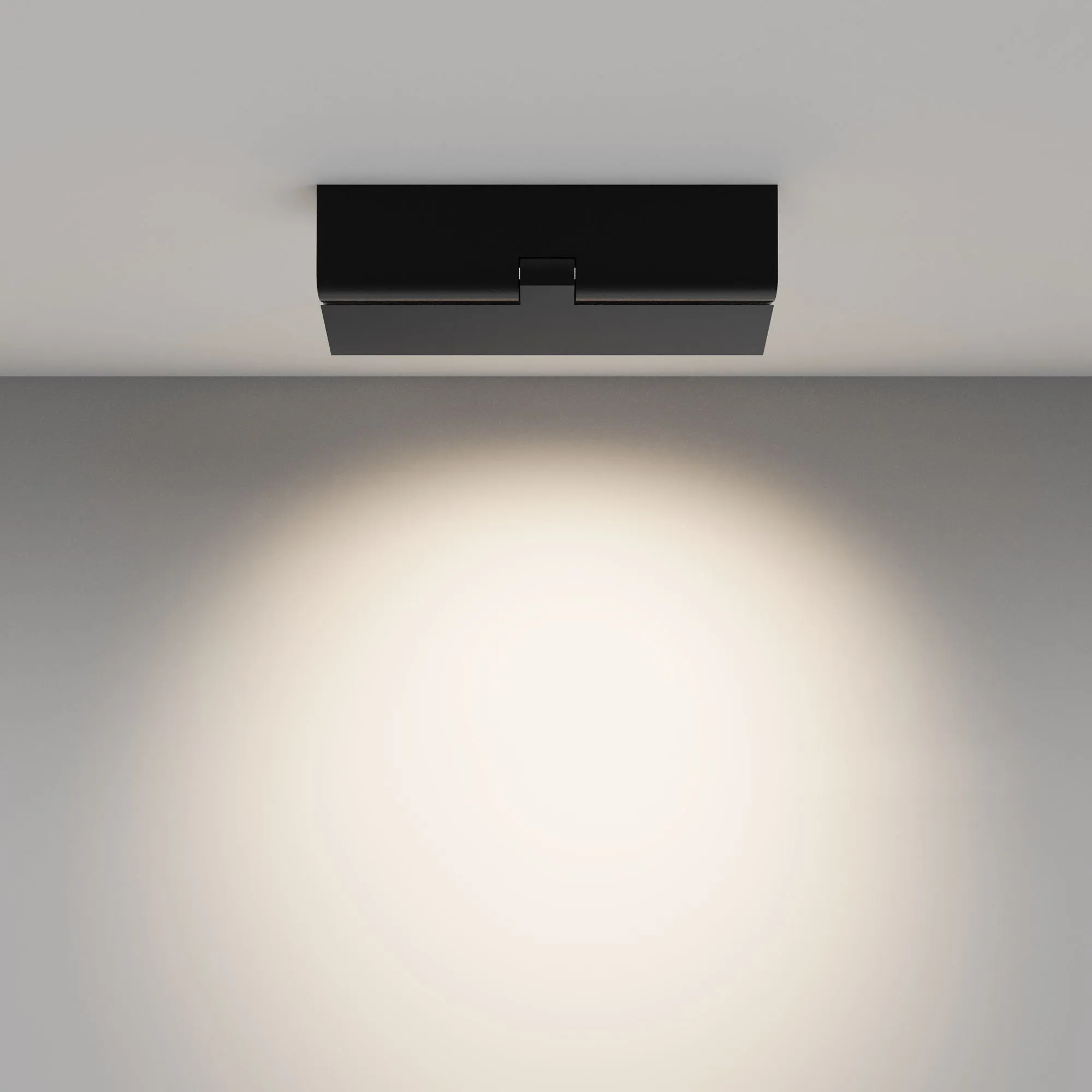 картинка Потолочный светильник Technical C136CL-12W4K-B