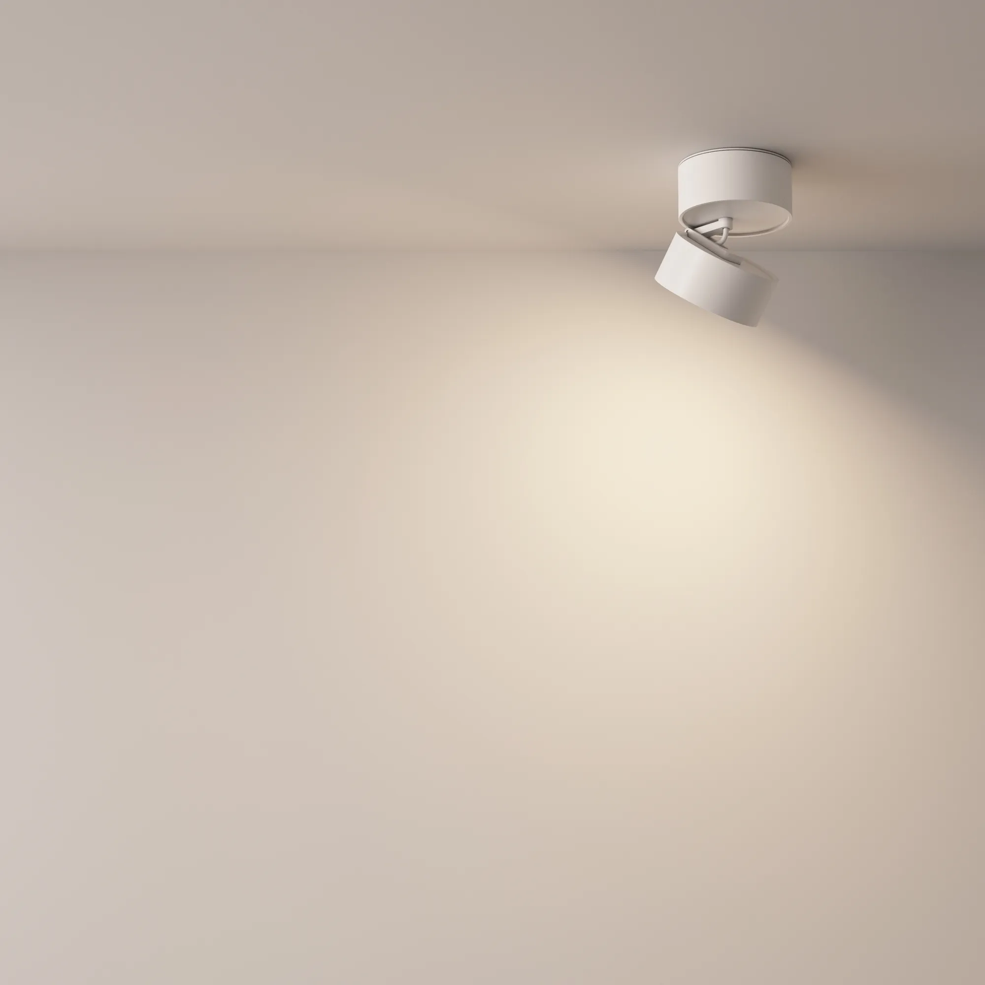 картинка Потолочный светильник Technical C024CL-L12W4K