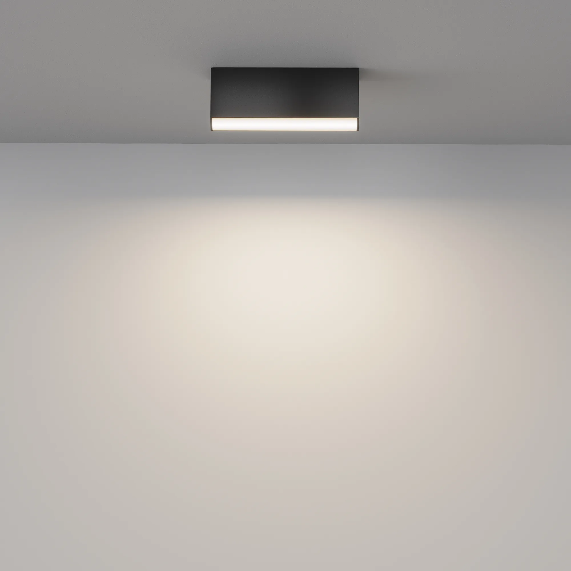 картинка Потолочный светильник Technical C068CL-12W3-6K-B