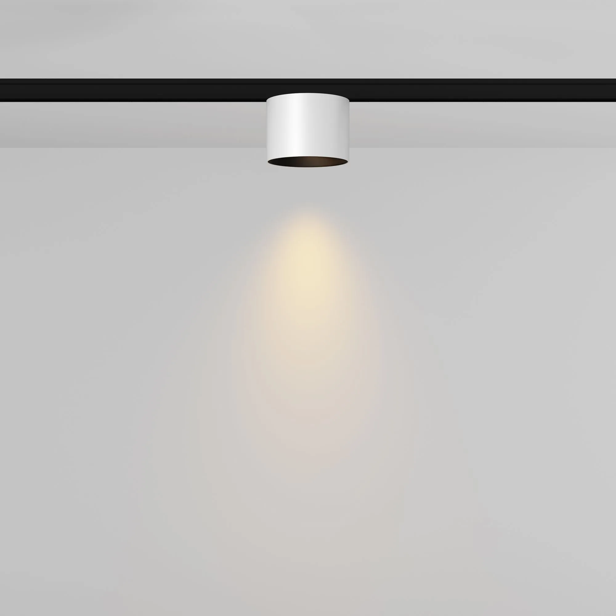 картинка Трековый светильник Technical TR188-1-5W2.7K-M-BW