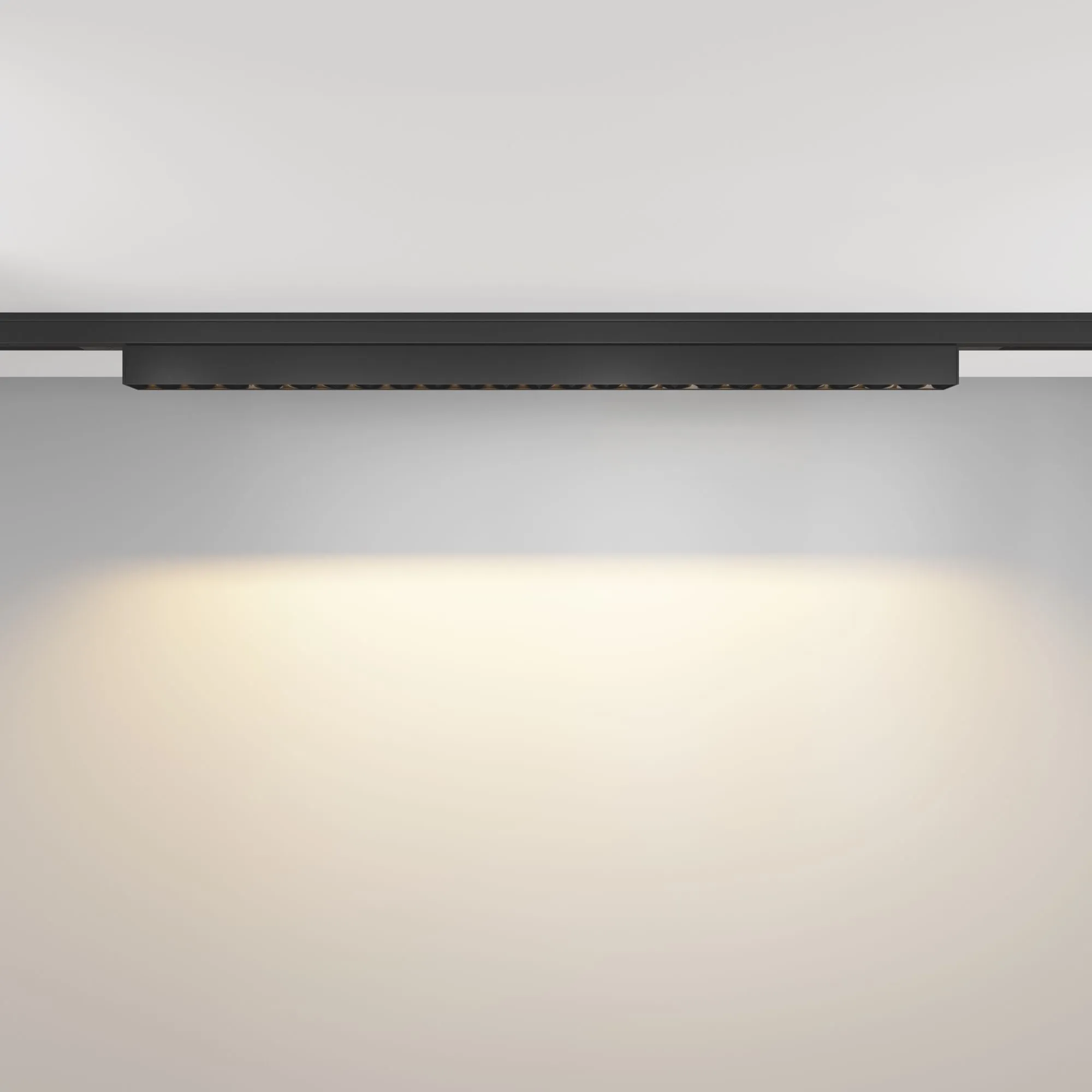 картинка Трековый светильник Technical TR193-1-20W2.7K-M-B
