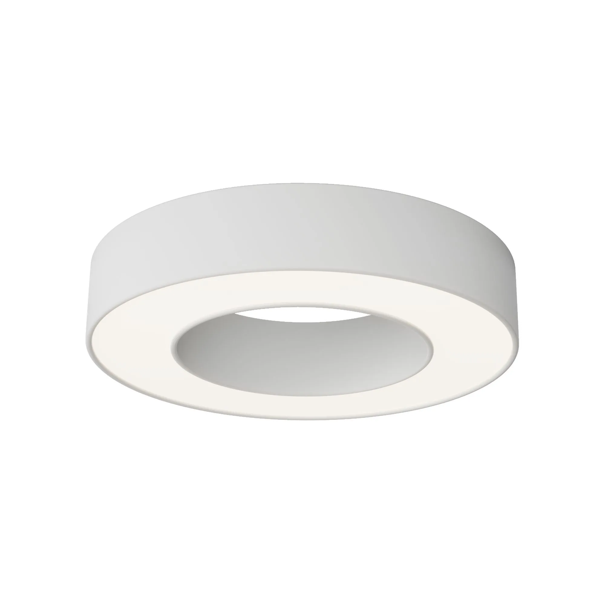 картинка Потолочный светильник Technical C093CL-24W4K-W