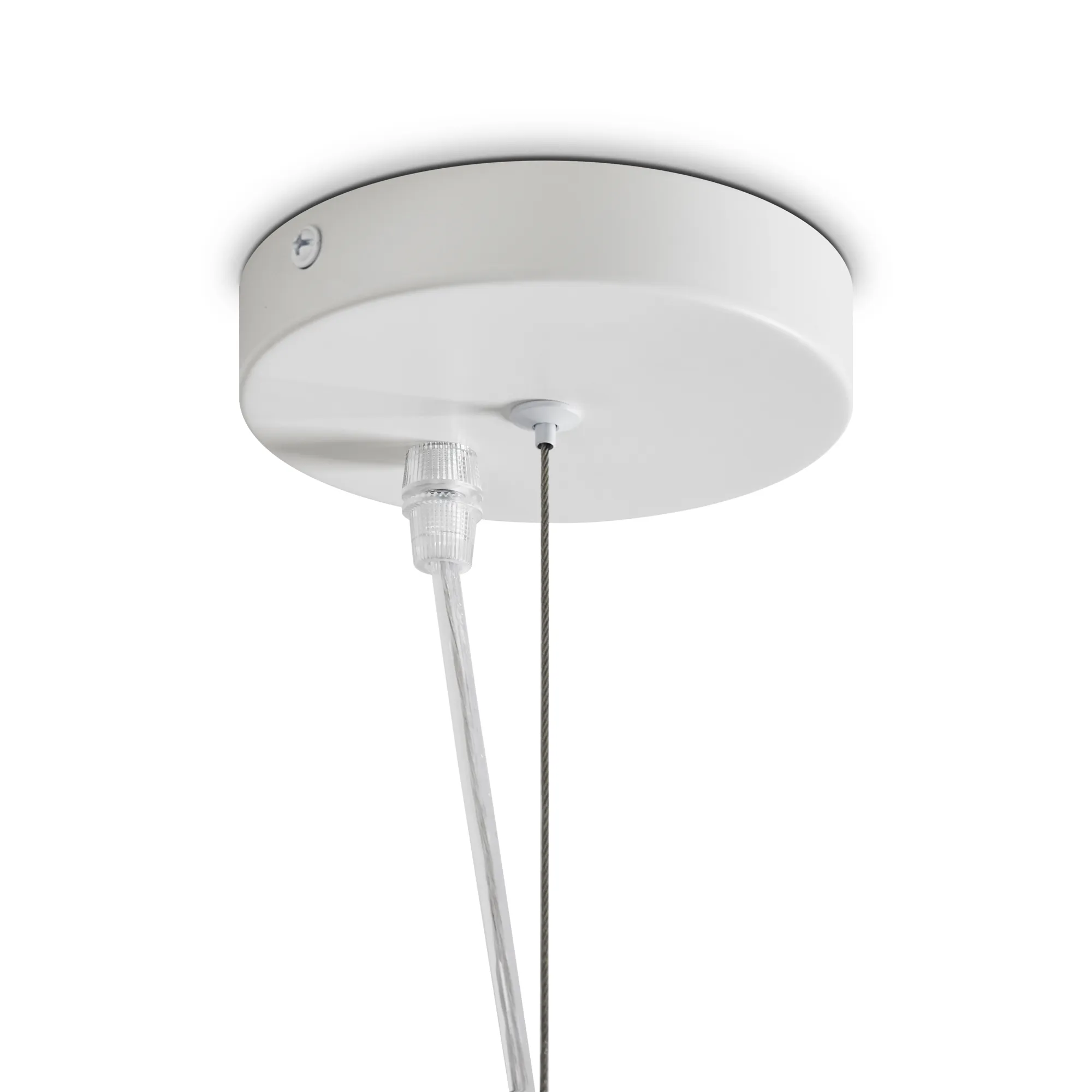 картинка Подвесной светильник Freya FR5428PL-01W1