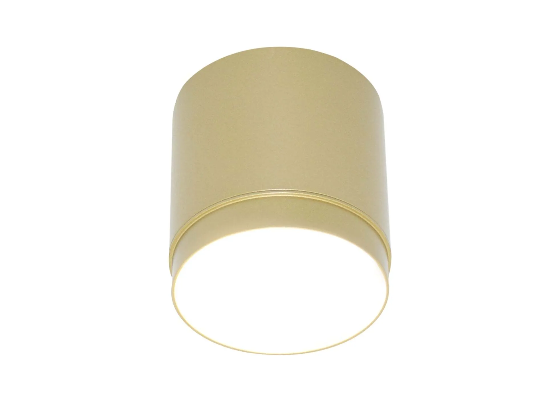 картинка Потолочный светильник Technical C088CL-GX53-MG