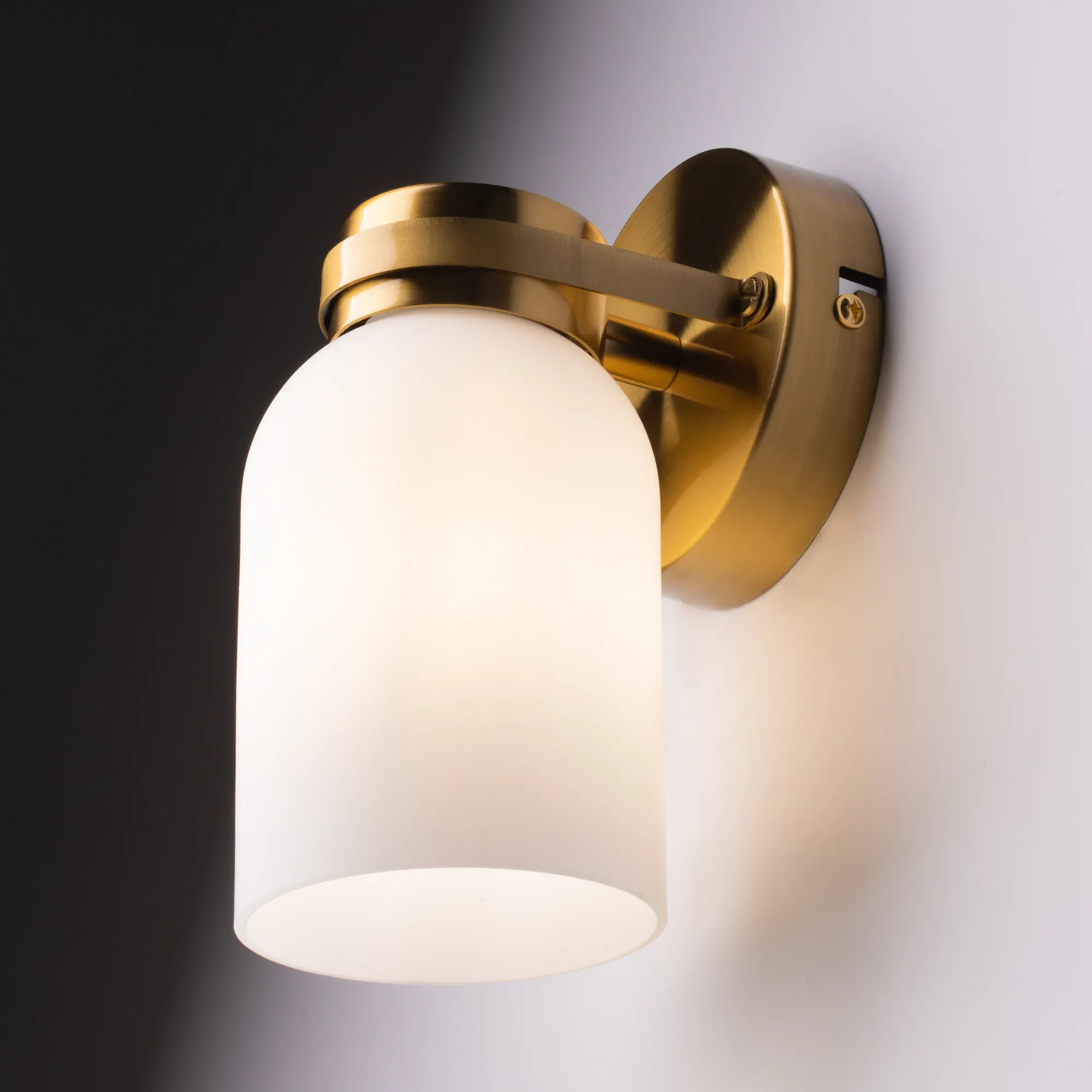 картинка Настенный светильник (бра) Freya FR5446WL-01BS