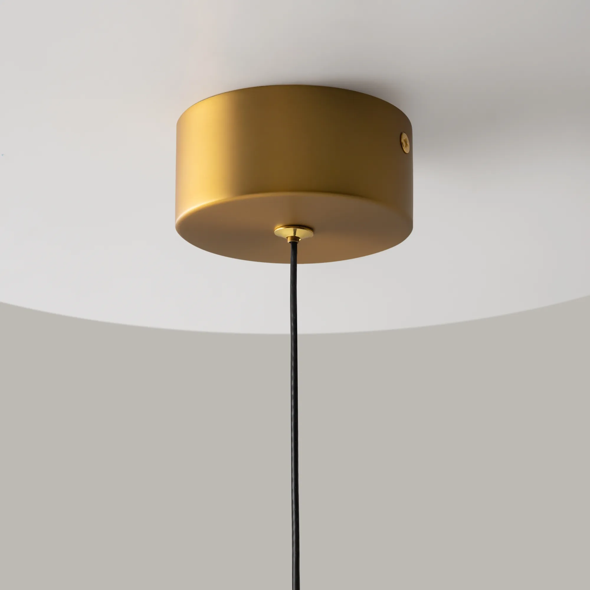 картинка Подвесной светильник Maytoni MOD383PL-L4BS3K