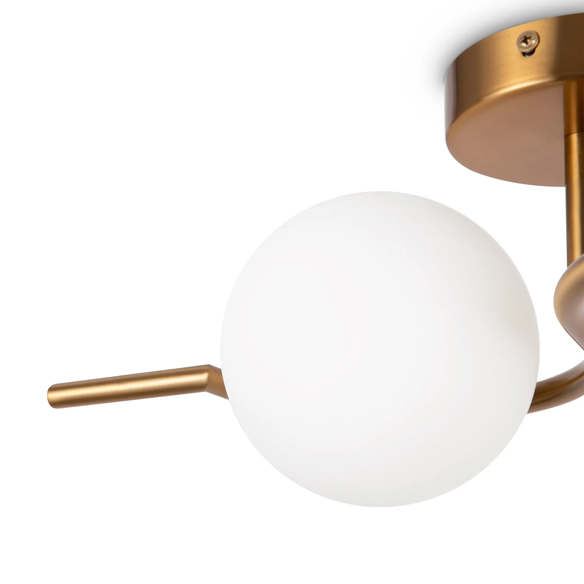 картинка Настенный светильник (бра) Freya FR5124WL-02BS