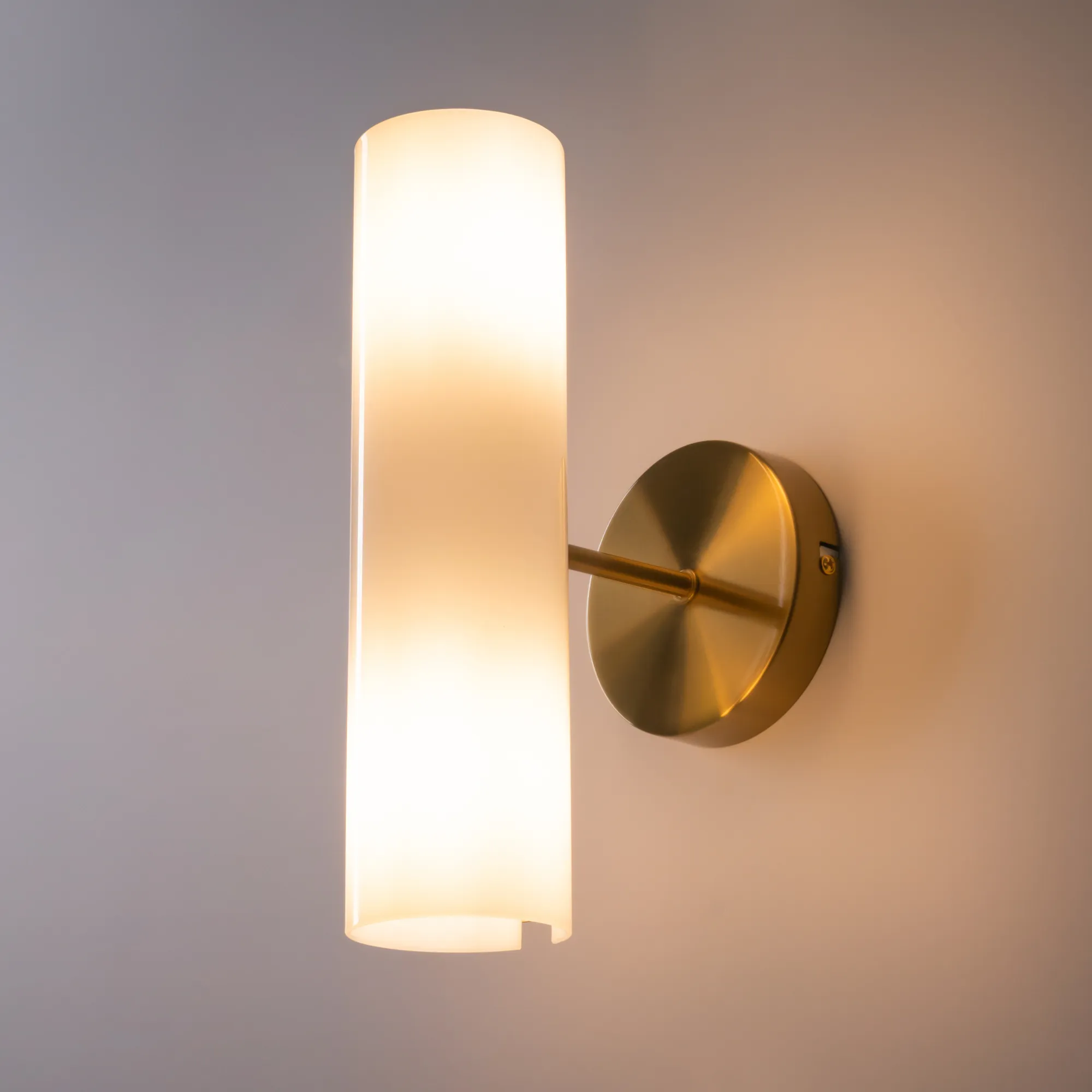 картинка Настенный светильник (бра) Freya FR5368WL-02BS