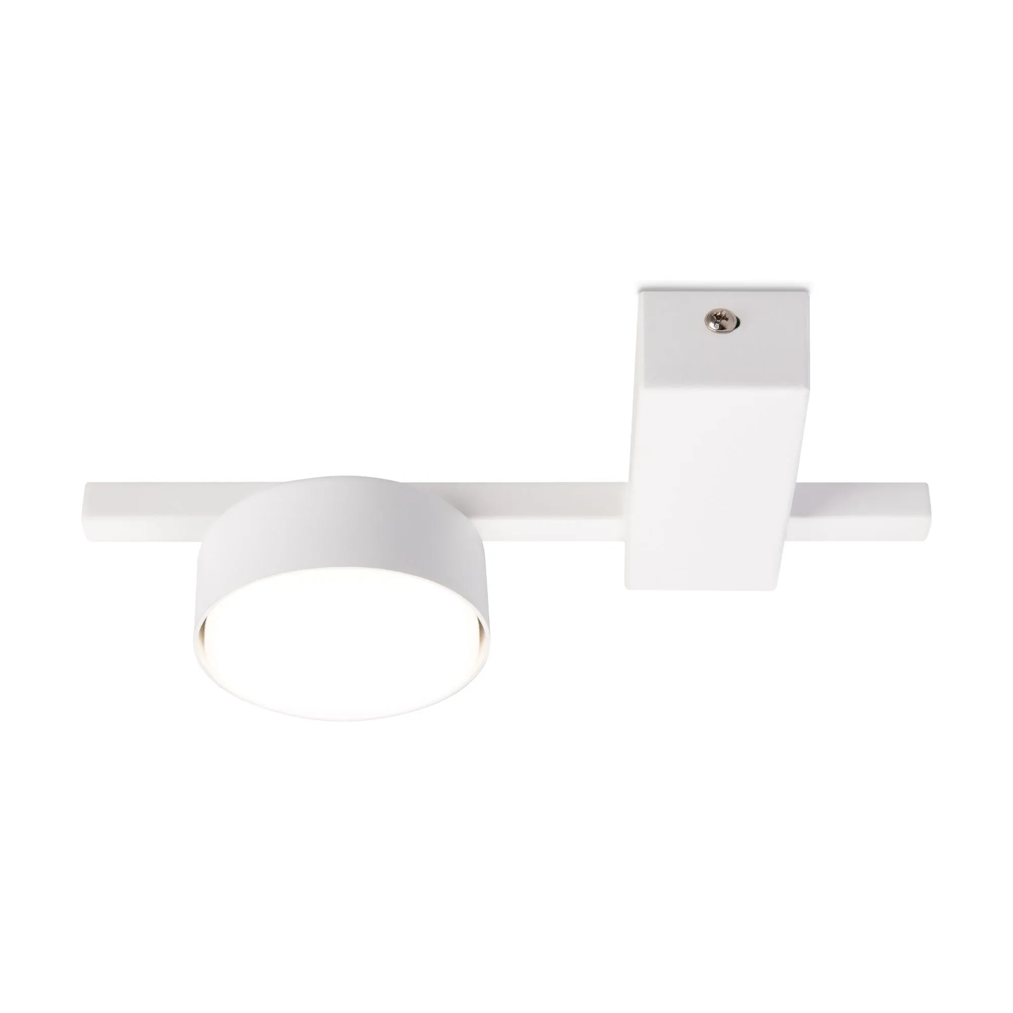 картинка Потолочный светильник Freya FR5363CL-01W