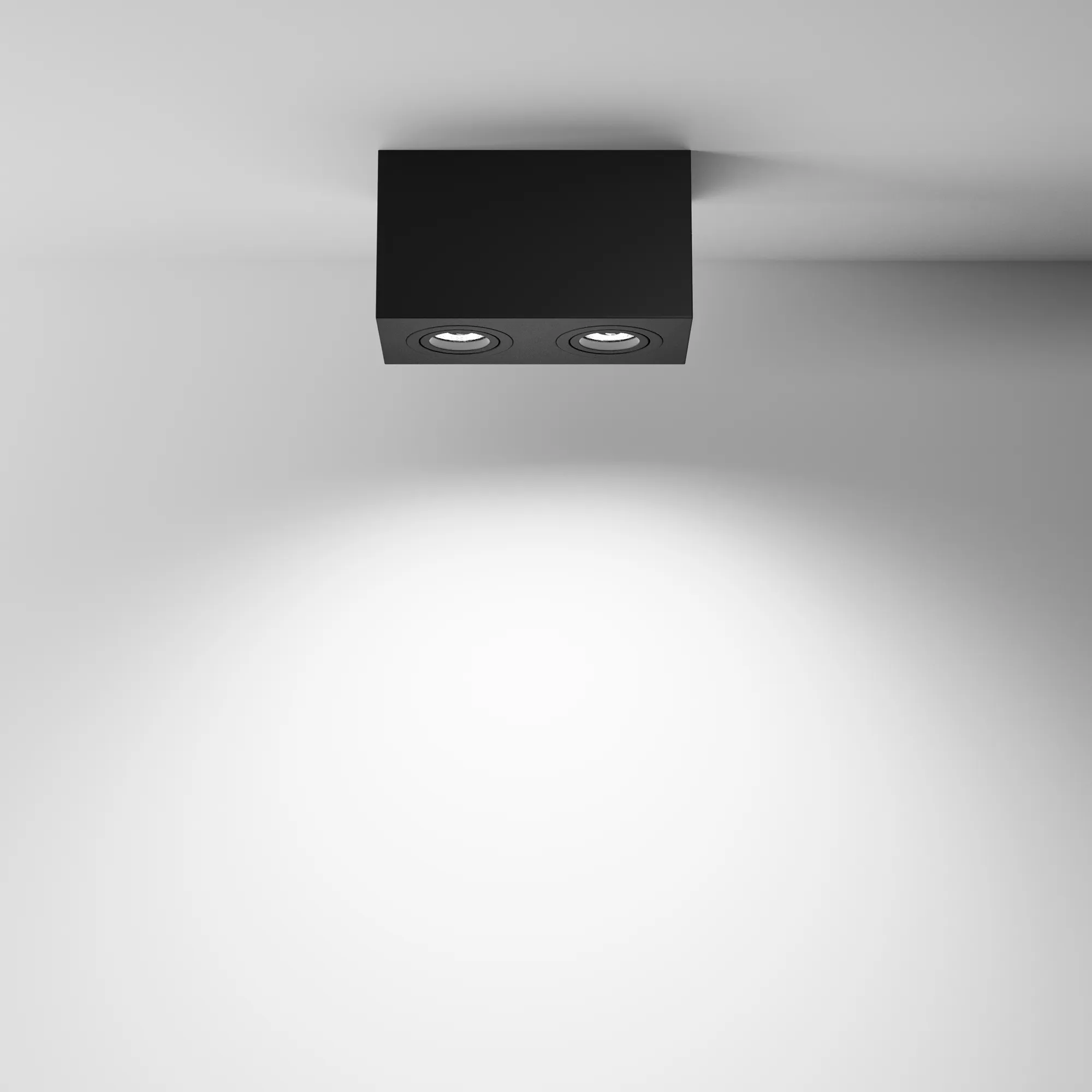 картинка Потолочный светильник Technical C017CL-02B