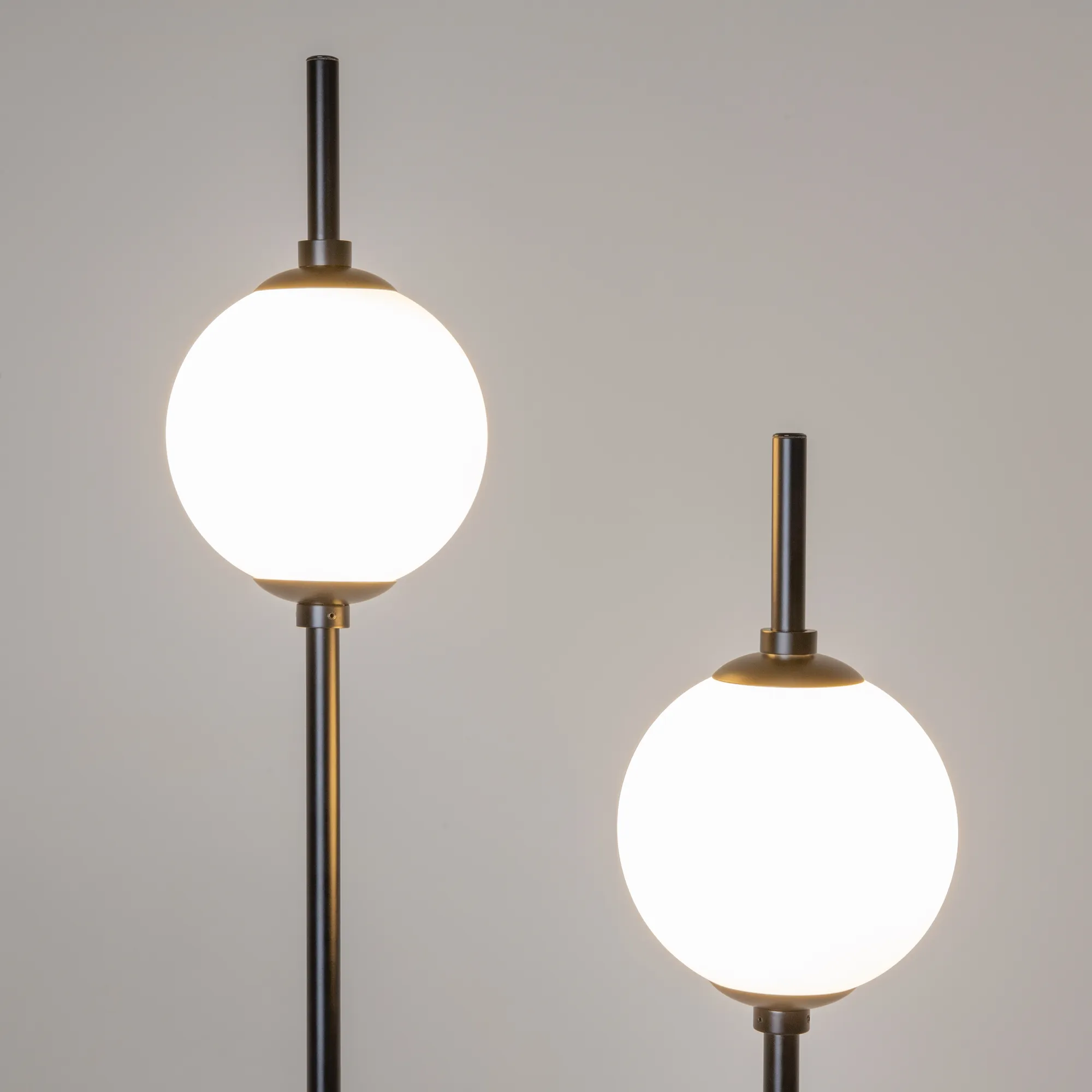 картинка Напольный светильник (торшер) Maytoni Z020FL-L12BK