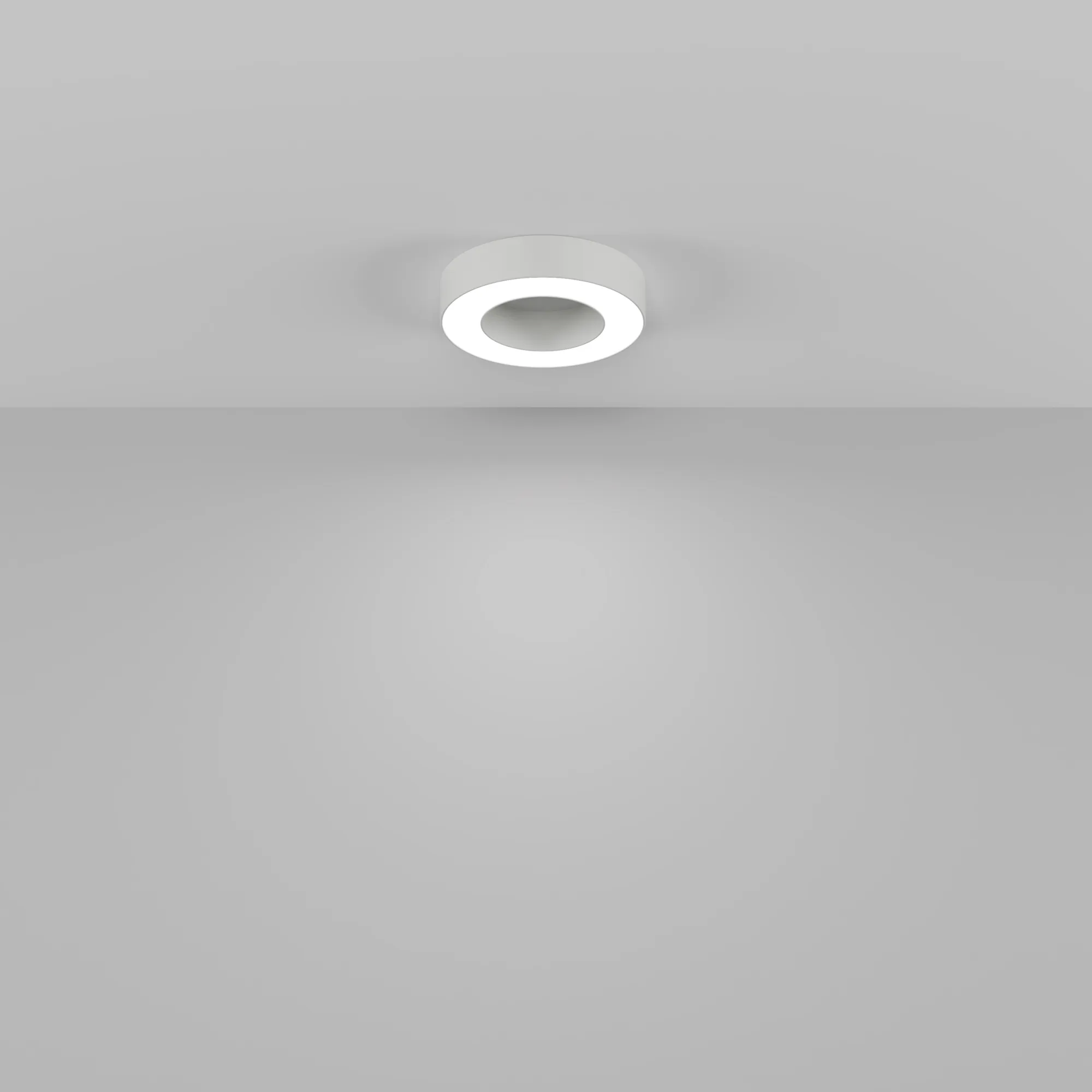 картинка Потолочный светильник Technical C093CL-24W4K-W