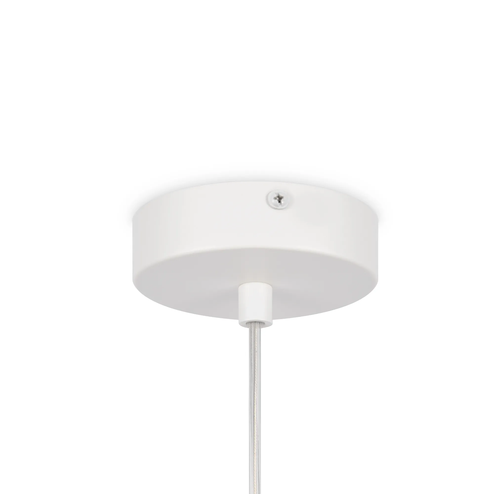 картинка Подвесной светильник Maytoni MOD321PL-01W