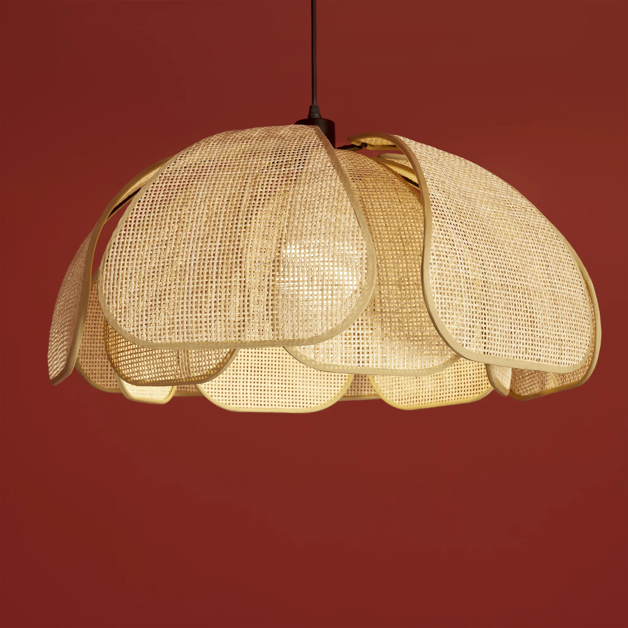 картинка Подвесной светильник Freya FR5529PL-01B