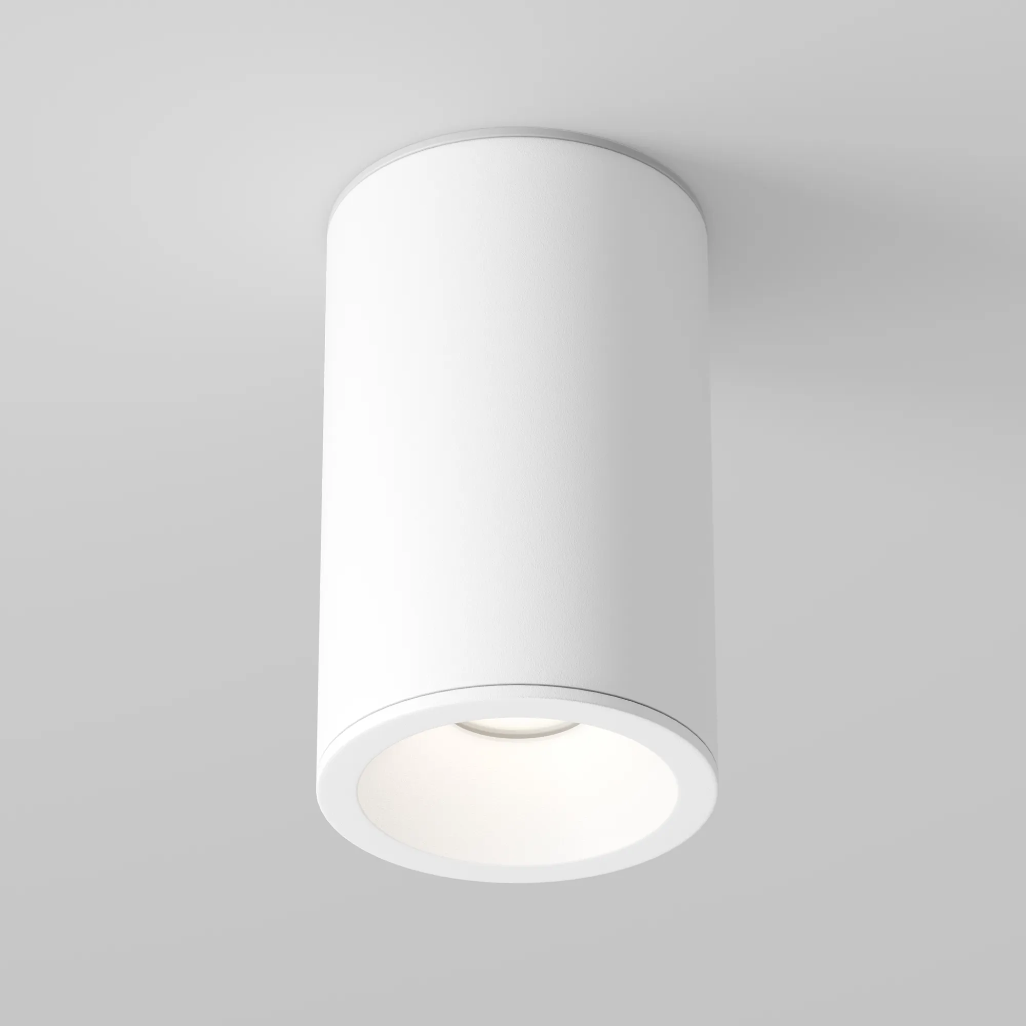 картинка Потолочный светильник Technical C029CL-01-S-W