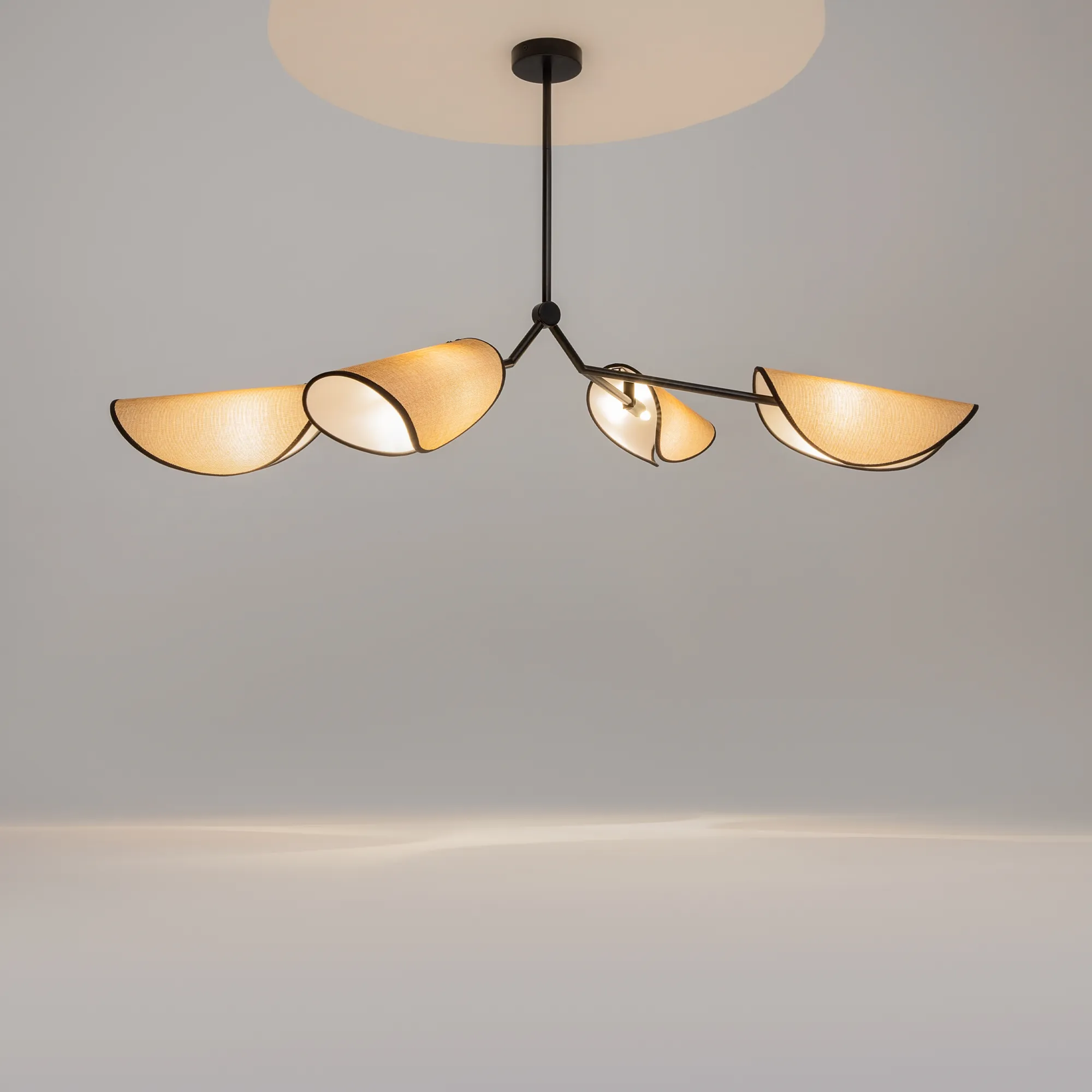 картинка Подвесной светильник Maytoni MOD225PL-04B