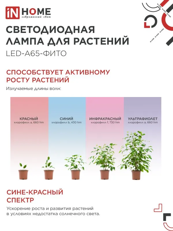 картинка Лампа светодиодная LED-A65 STD-ФИТО красно-синий спектр 25Вт 230В Е27 IN HOME