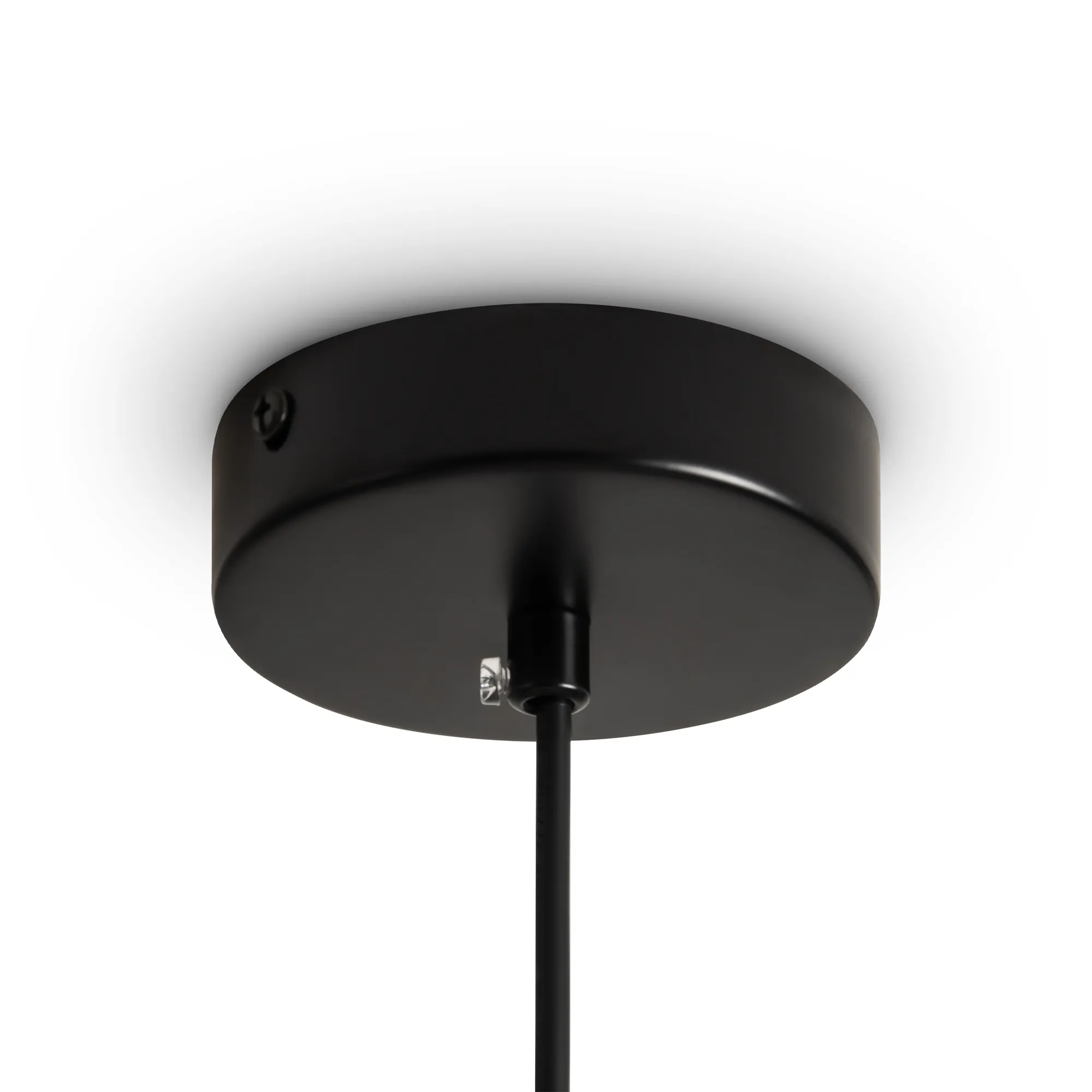 картинка Подвесной светильник Freya FR5492PL-01B