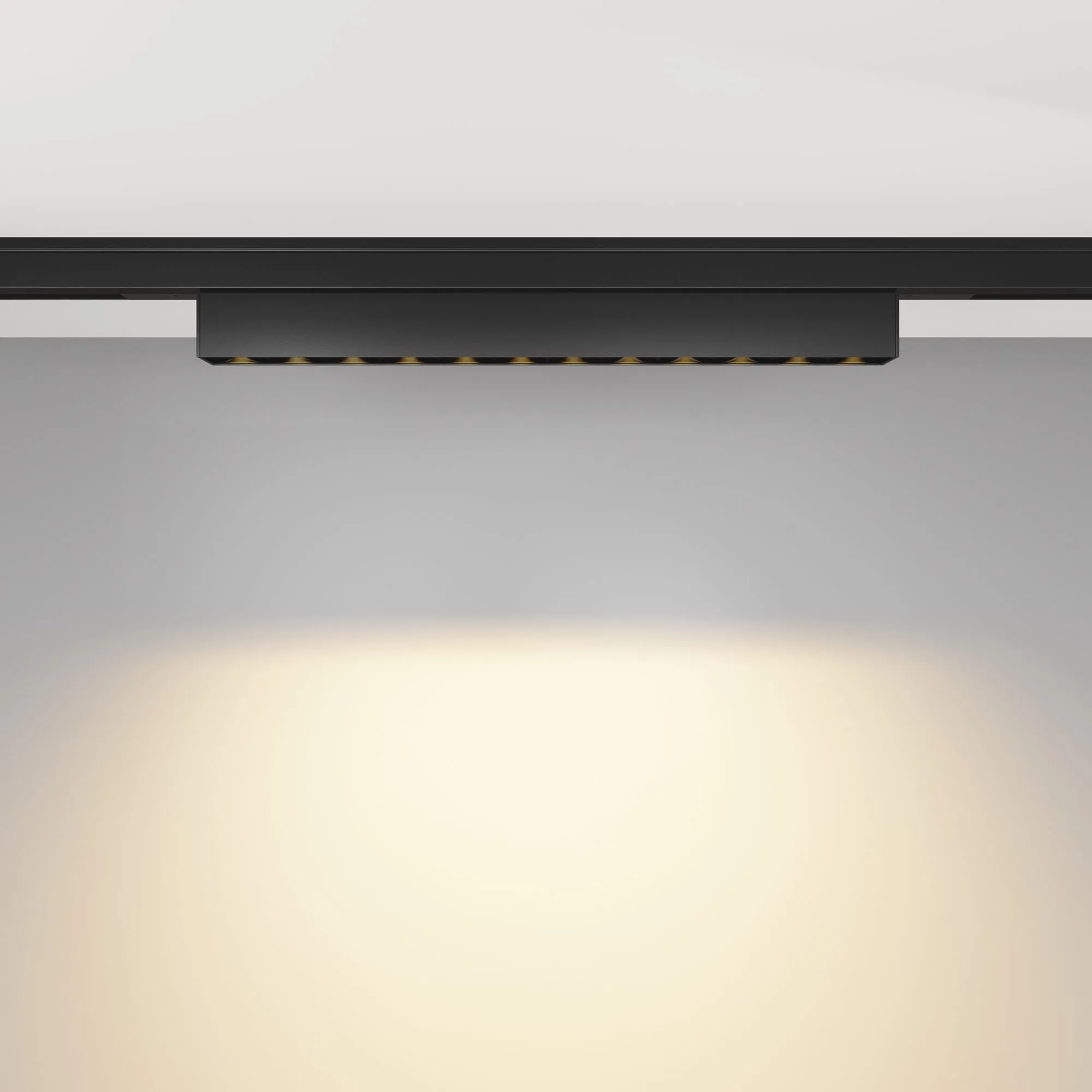 картинка Трековый светильник Technical TR193-1-10W2.7K-M-B