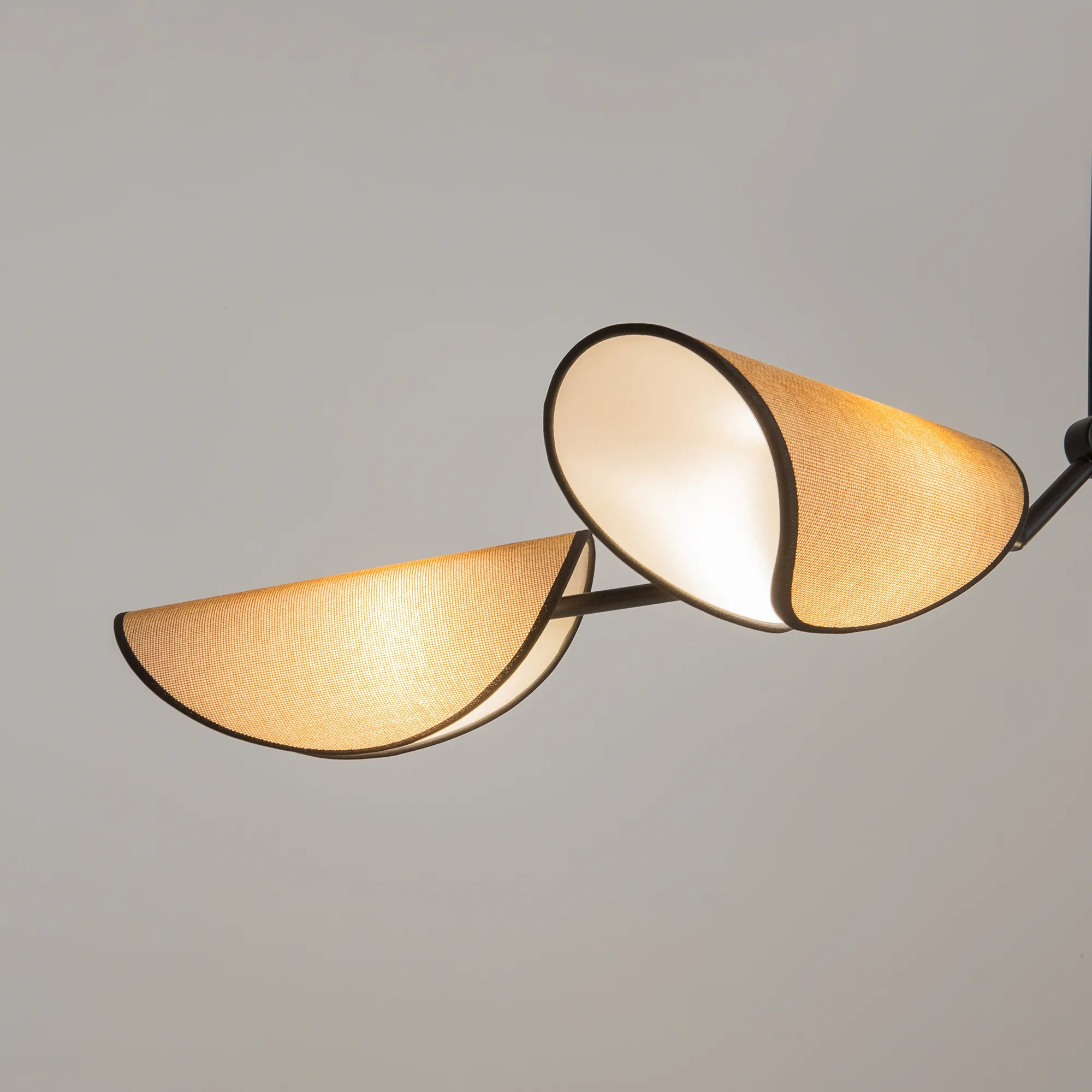 картинка Подвесной светильник Maytoni MOD225PL-04B