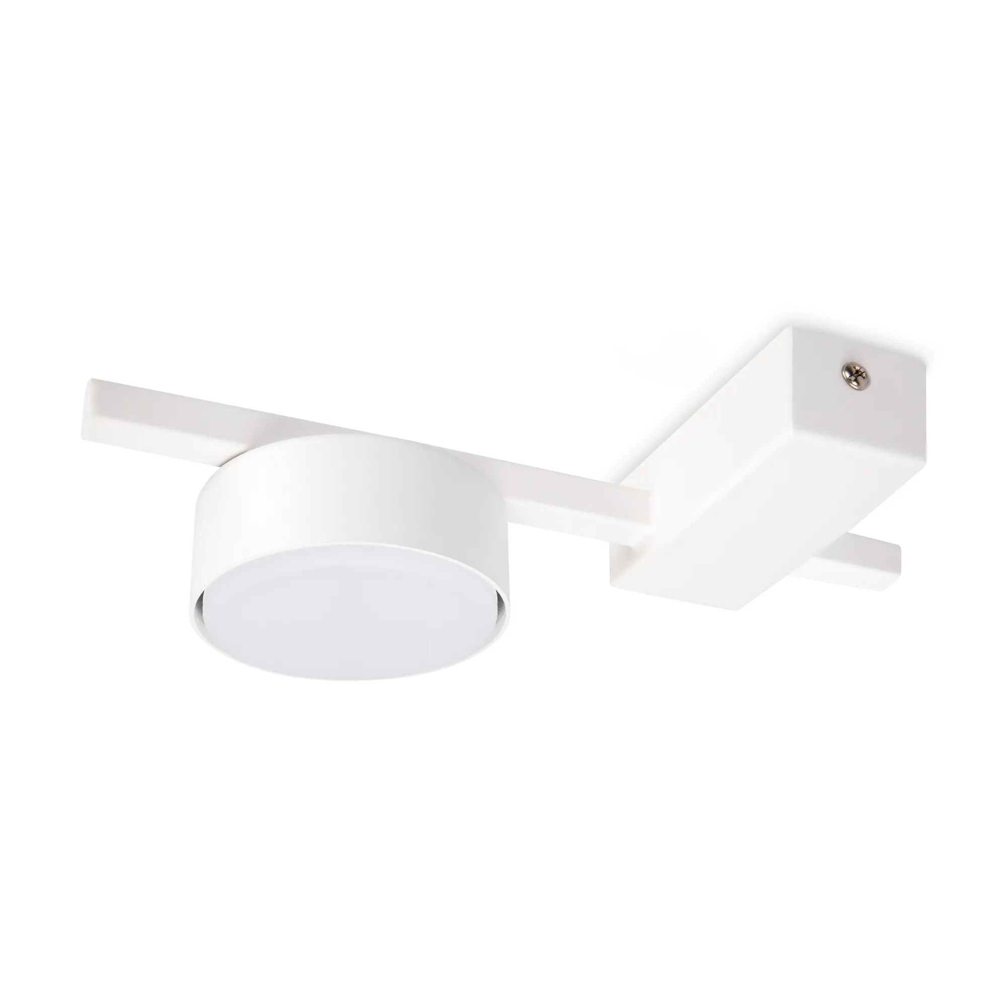 картинка Потолочный светильник Freya FR5363CL-01W