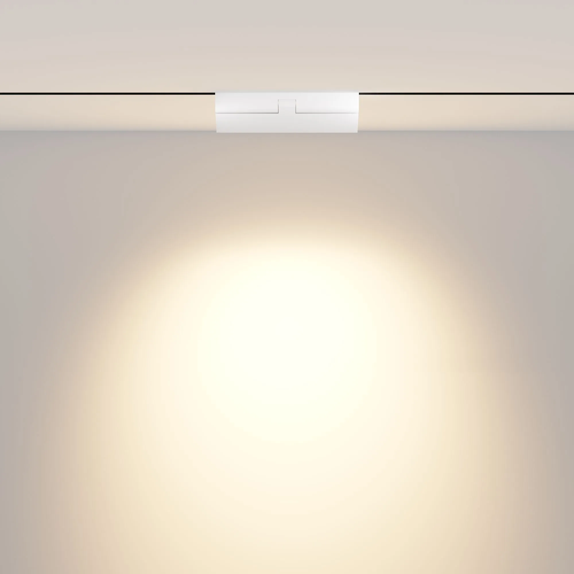 картинка Трековый светильник Technical TR033-4-12W3K-M-DS-W