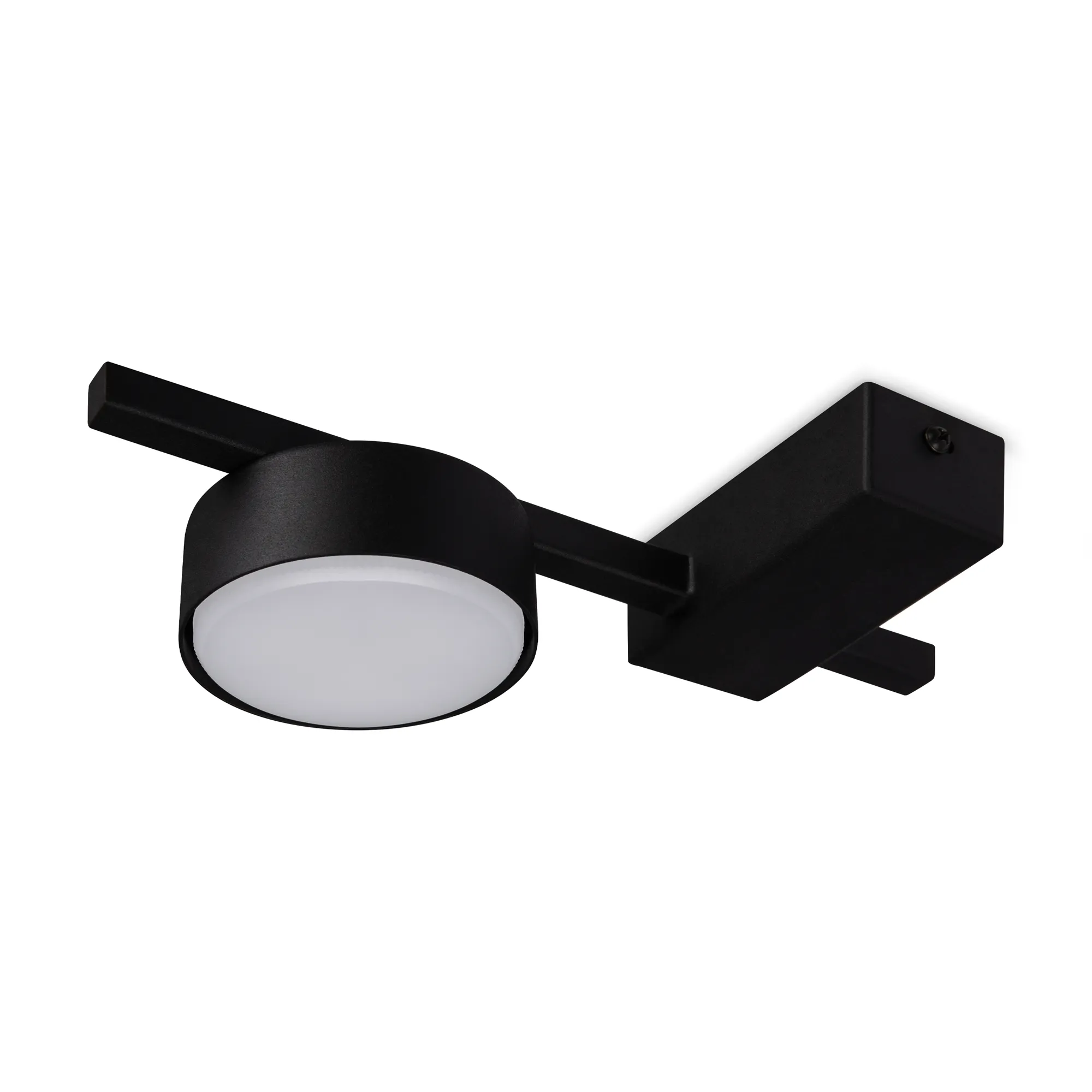 картинка Потолочный светильник Freya FR5363CL-01B