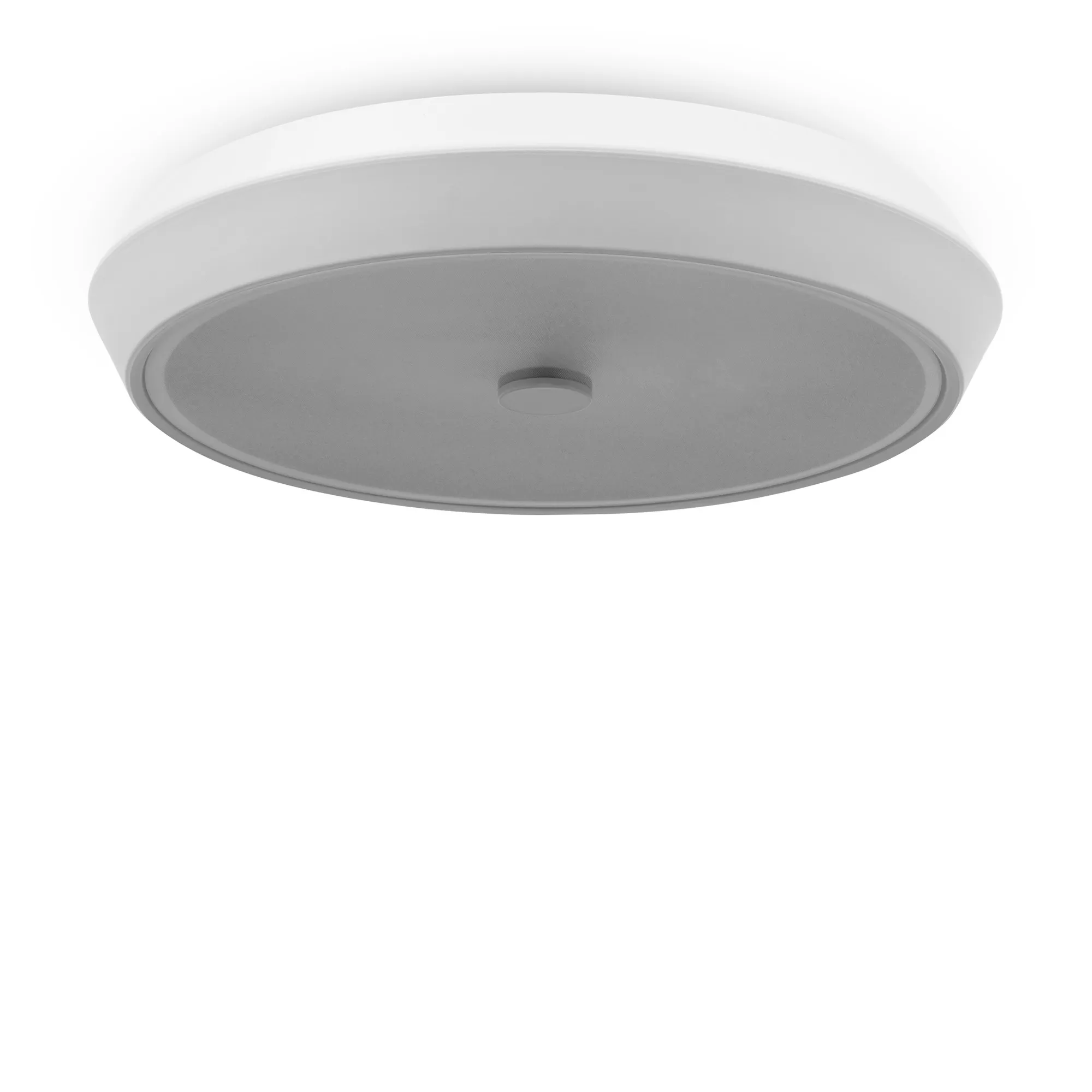 картинка Потолочный светильник Freya FR10012CL-L24W