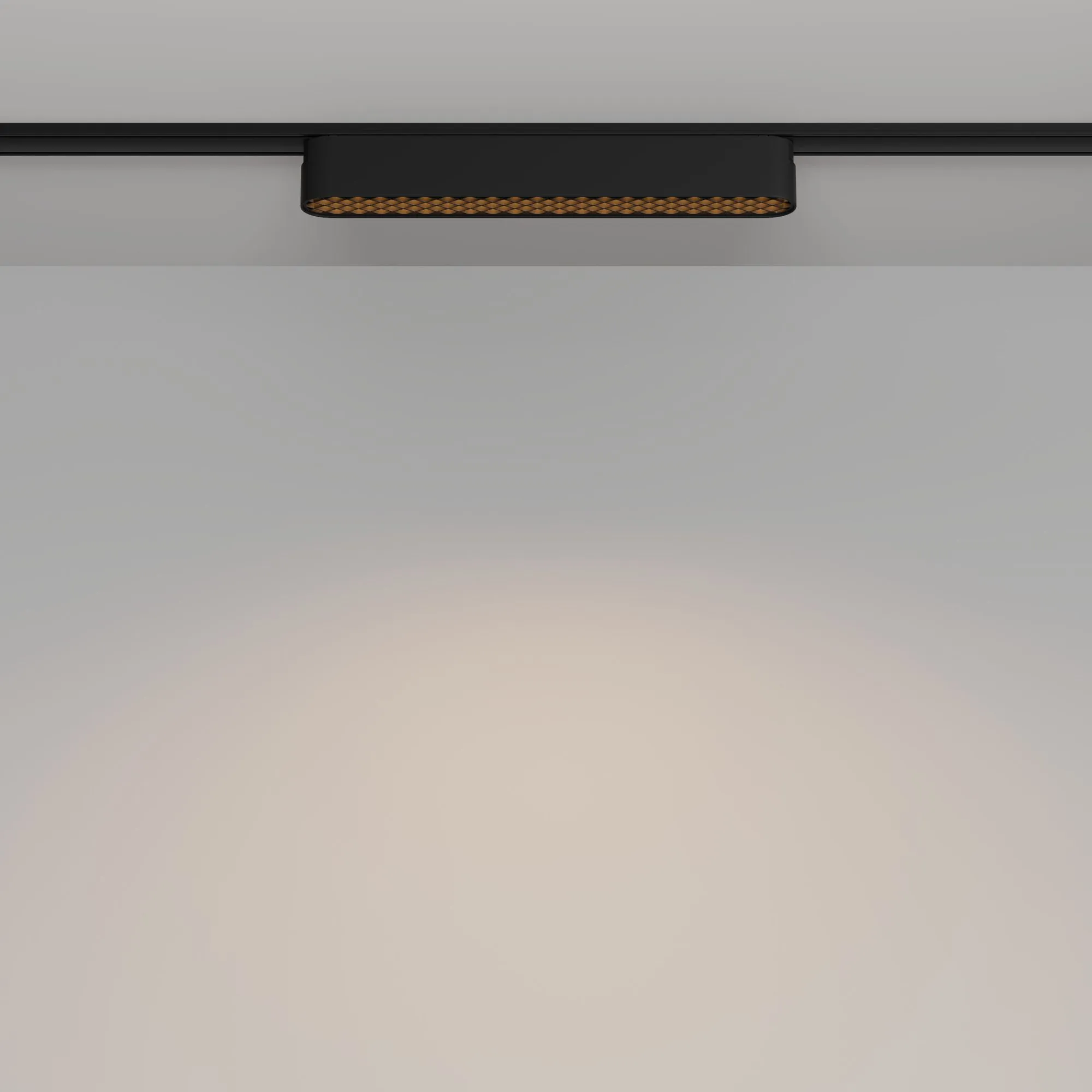 картинка Трековый светильник Technical TR084-1-12W3K-B