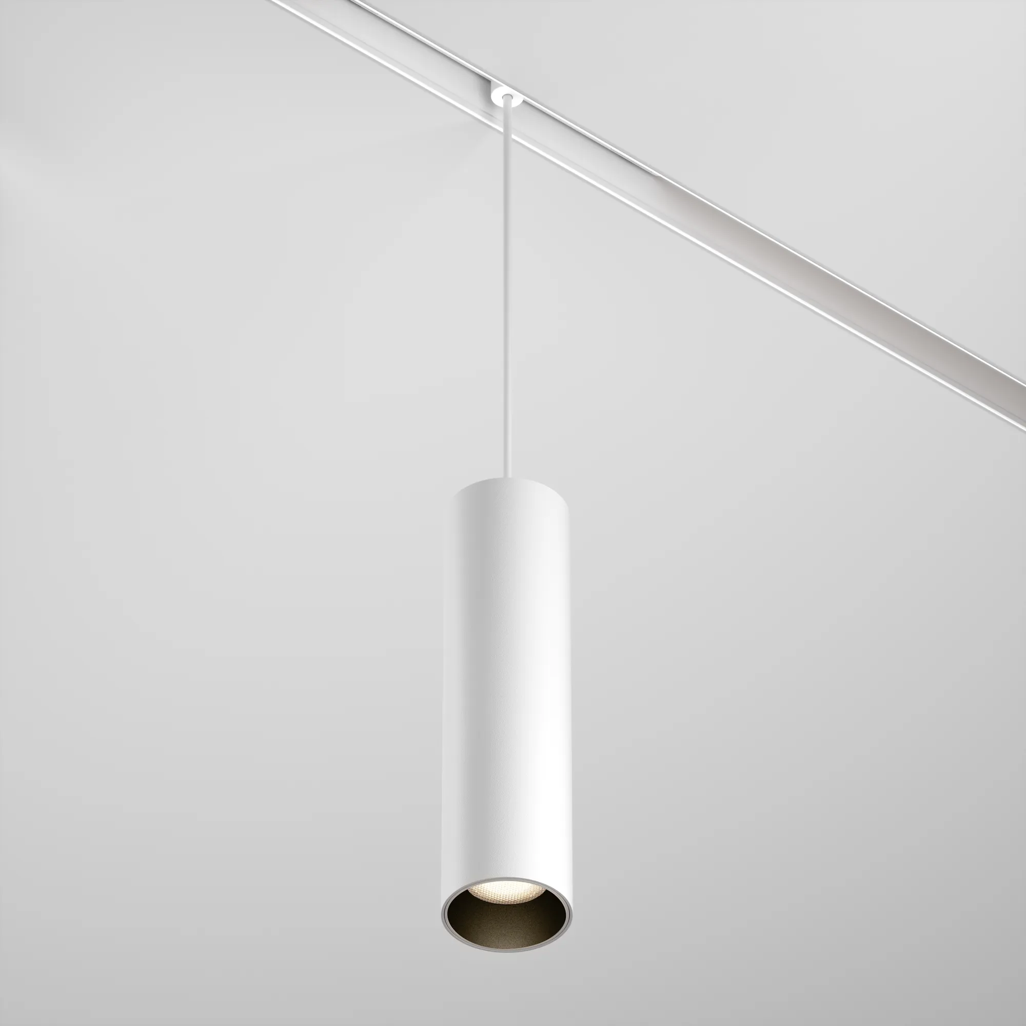 картинка Трековый подвесной светильник Technical TR041-2-12W3K-W