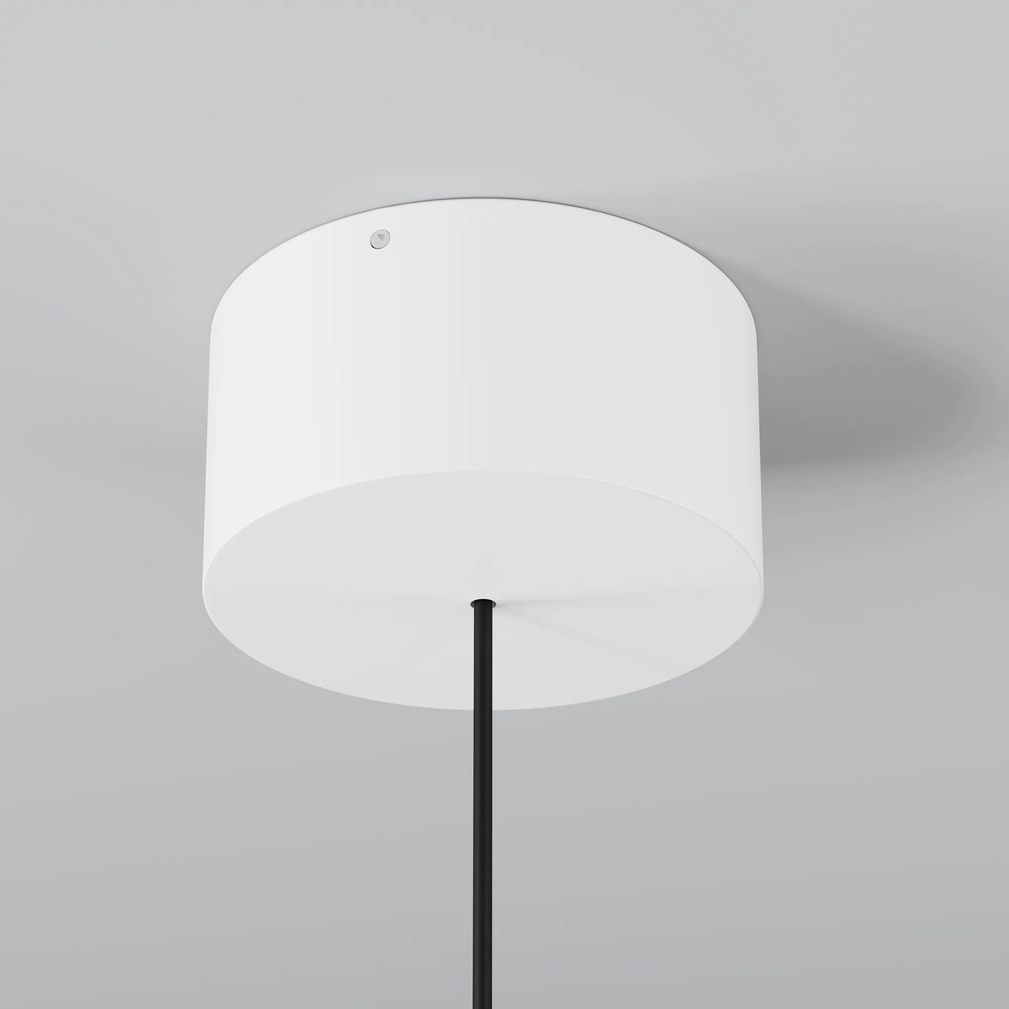 картинка Подвесной светильник Outdoor O491PL-L6W3K