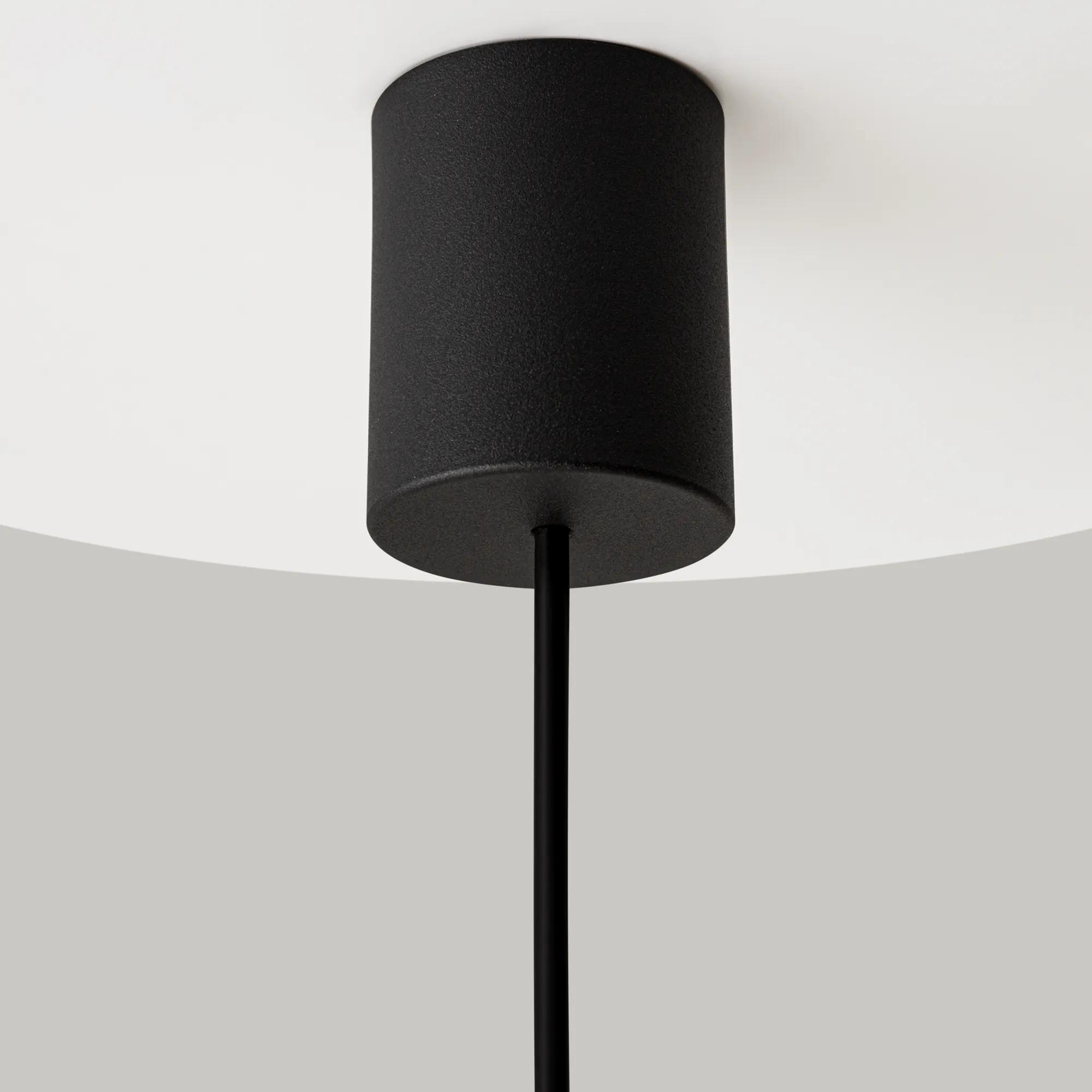 картинка Подвесной светильник Maytoni MOD255PL-01B2